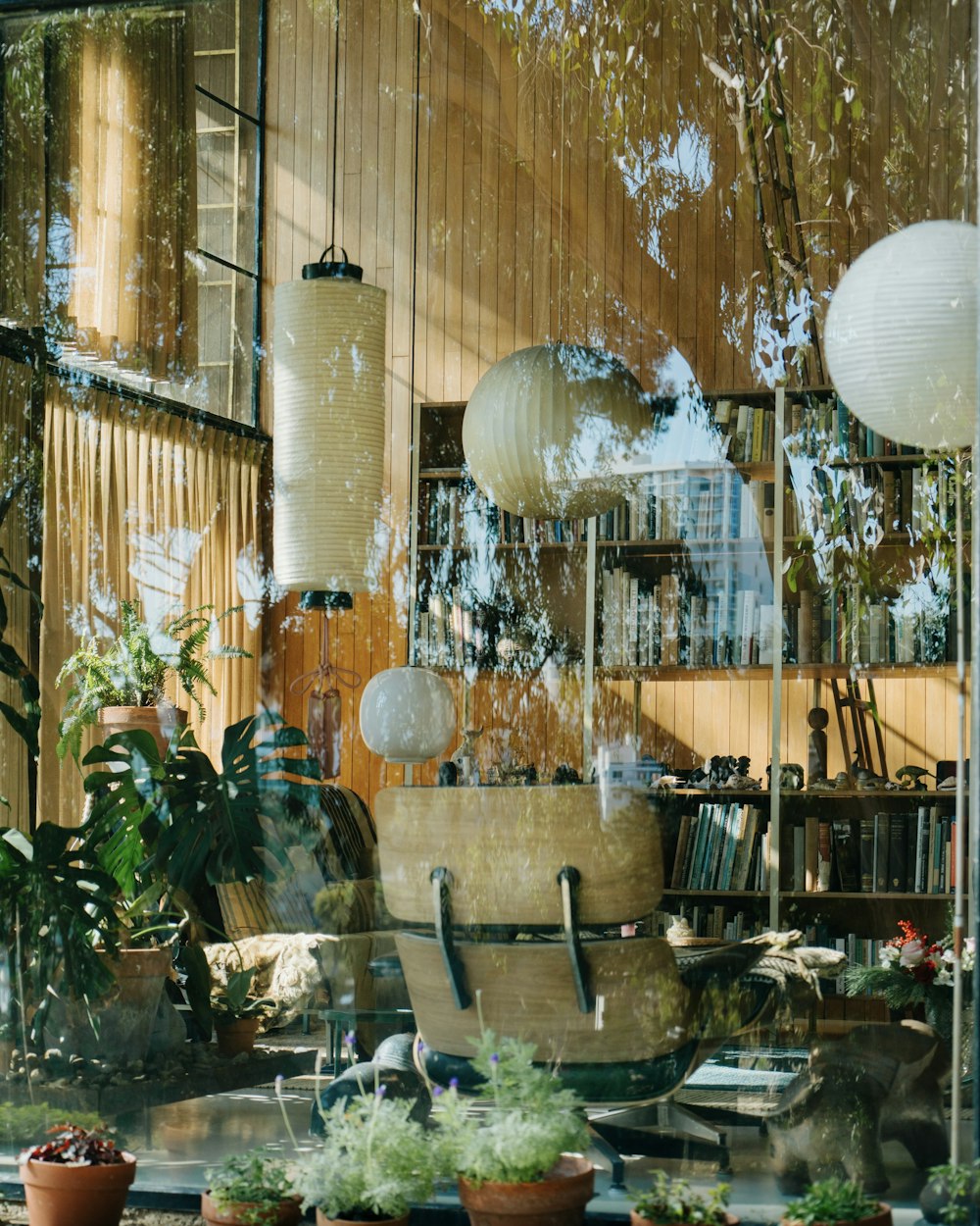 a room filled with lots of potted plants