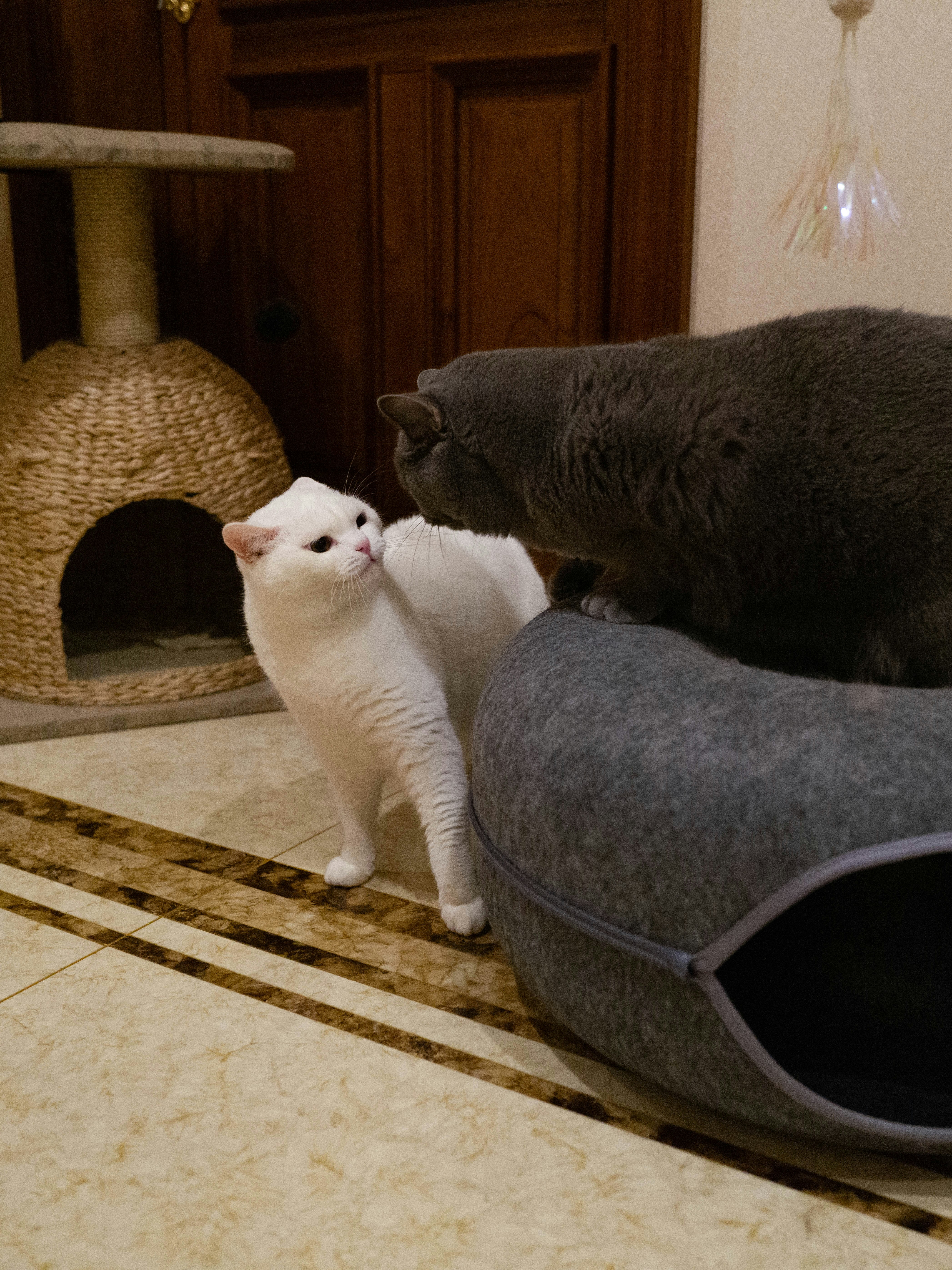 Charlie And Tango Menu