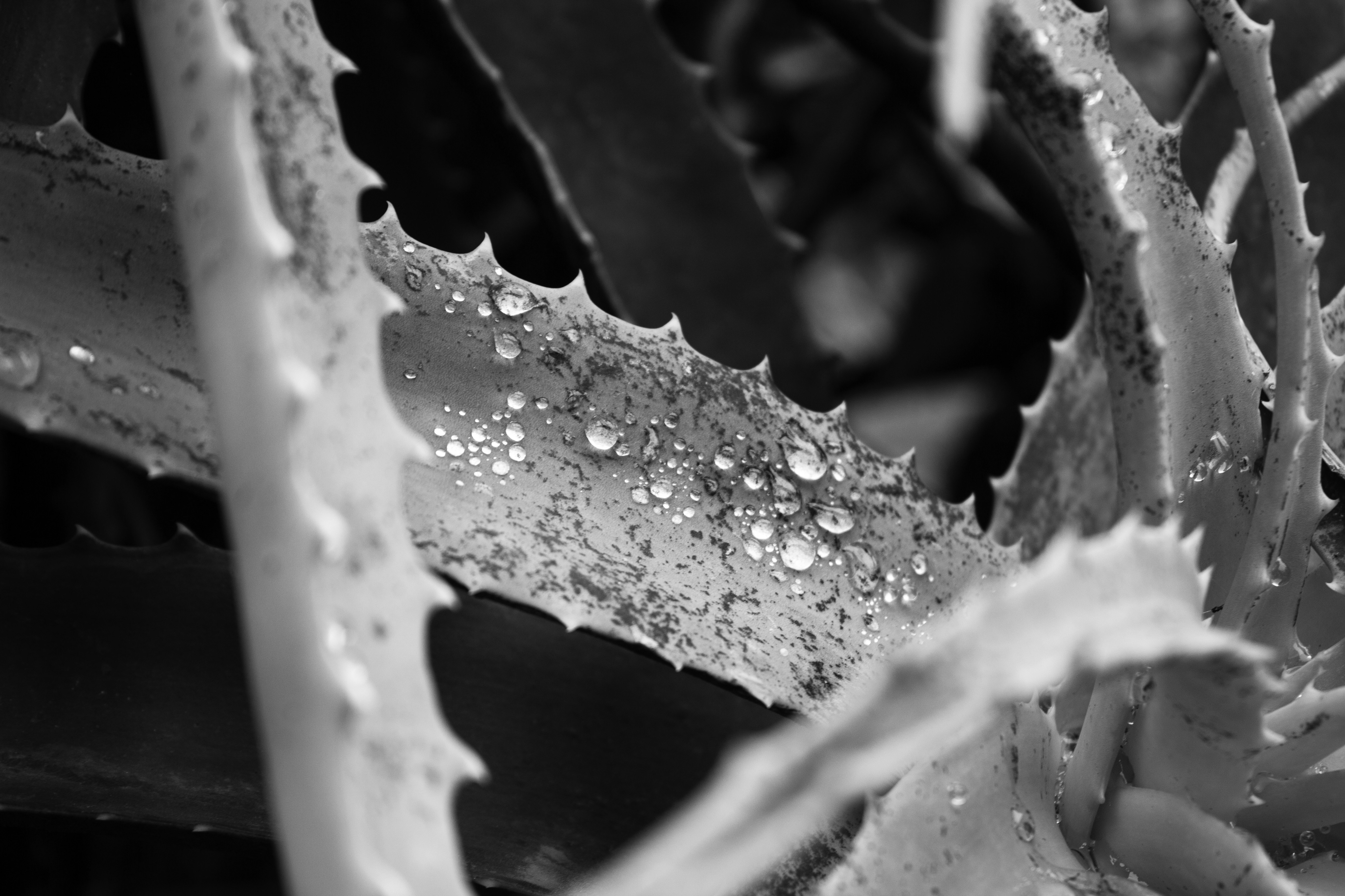 Photo by happy_sad_repeat