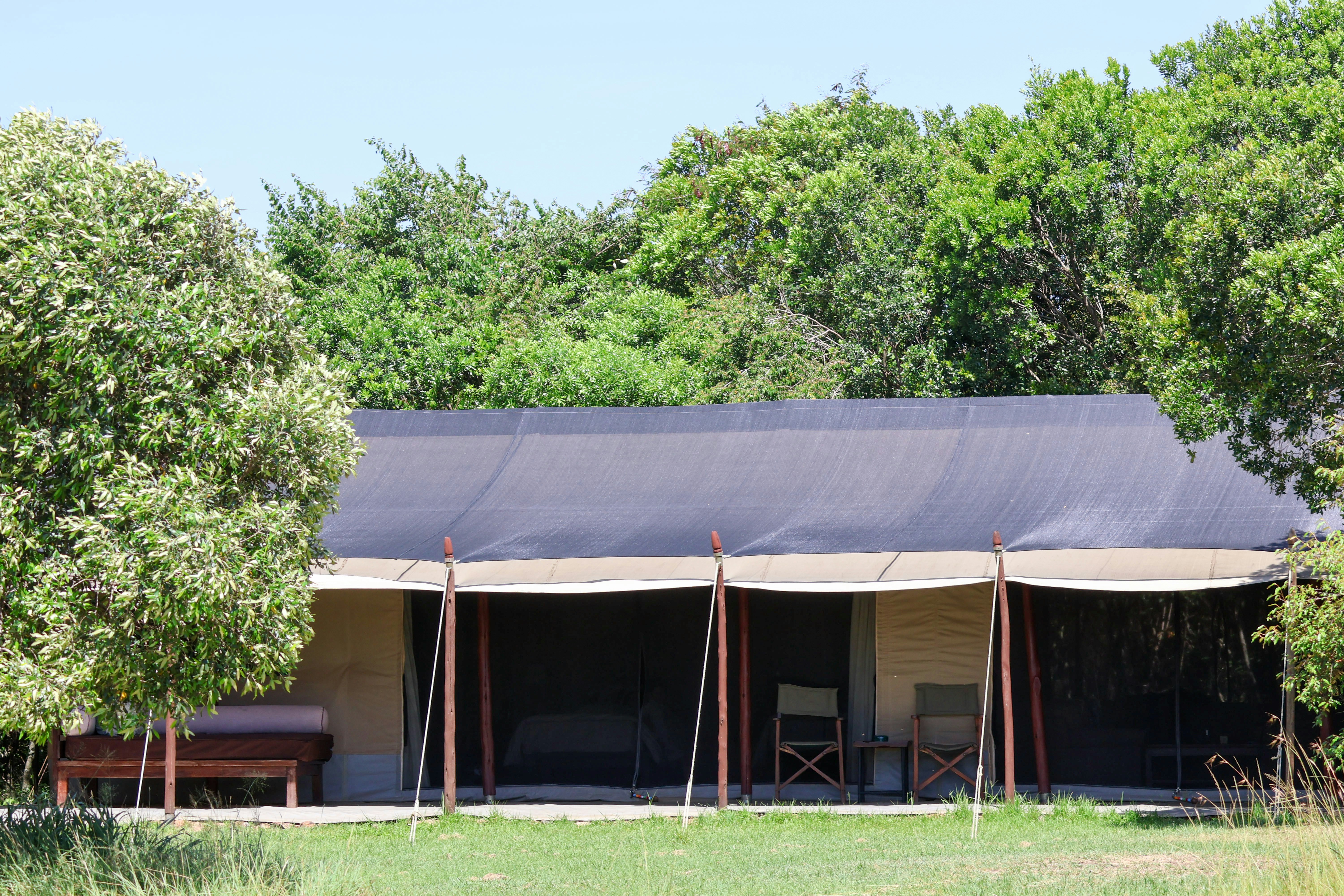 Sangare Under Canvas