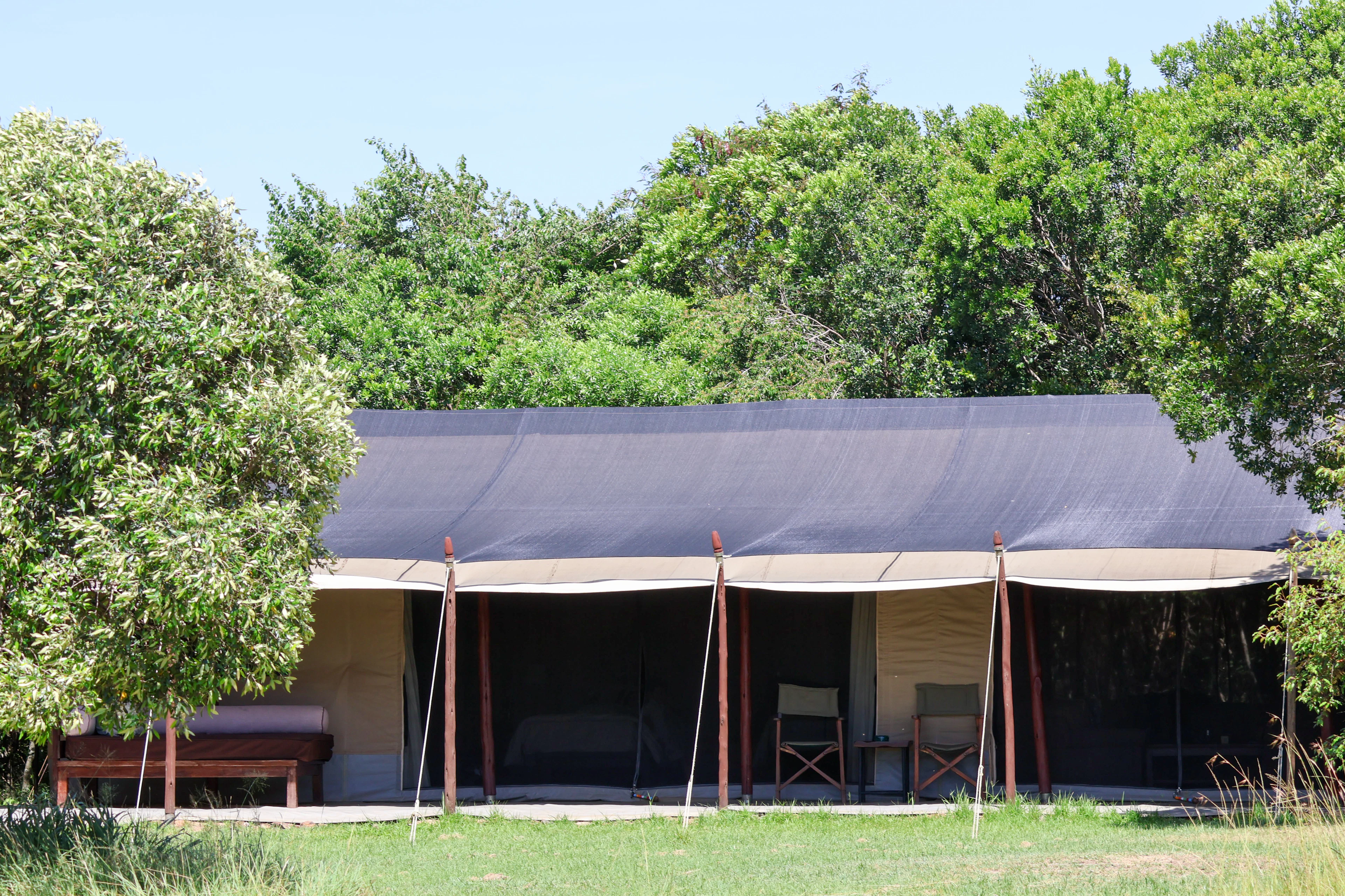 A safari tent with a veranda and two chairs among green trees in the Masai Mara area, Kenya