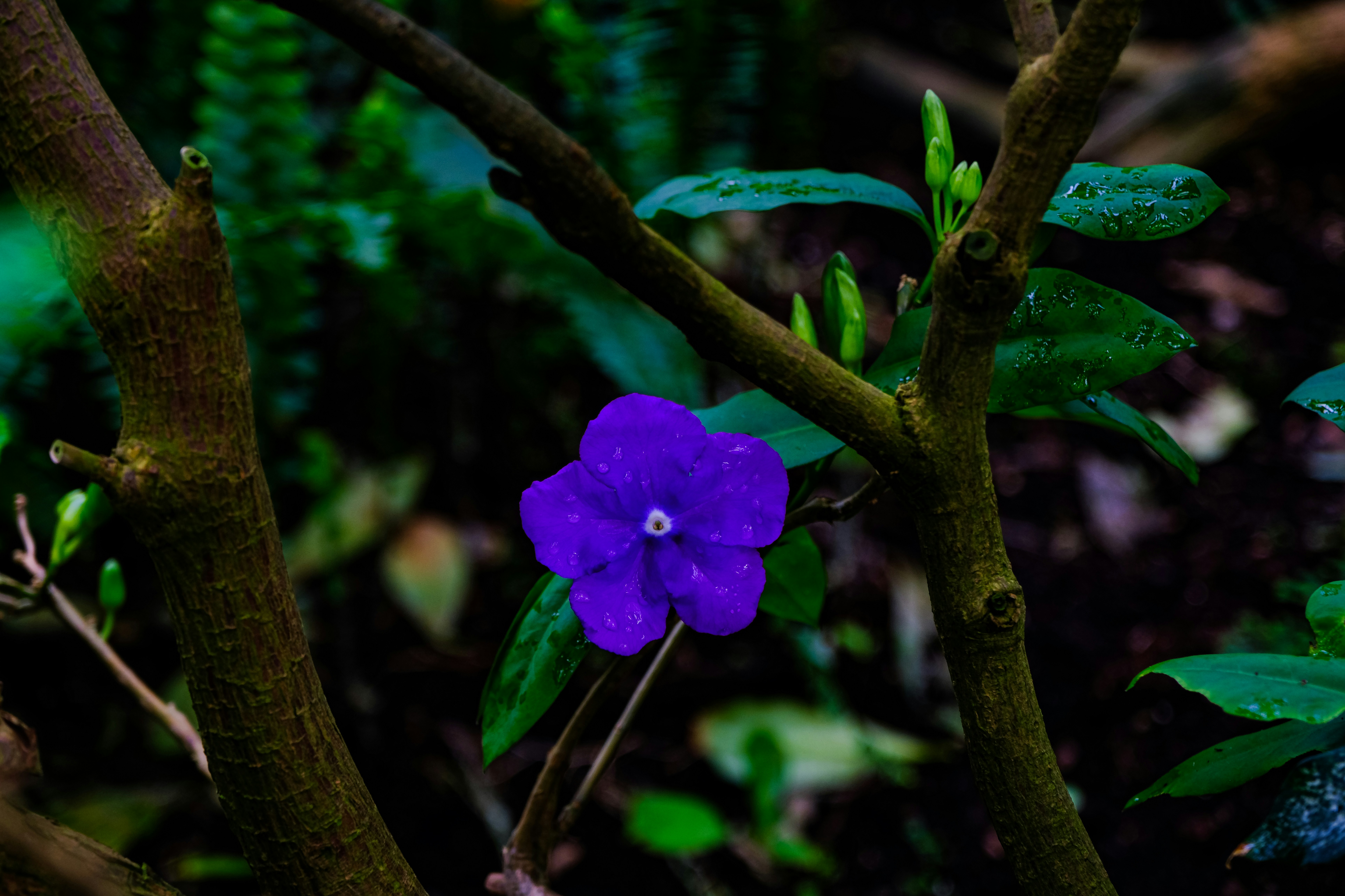 Photo by cestmoisheedy