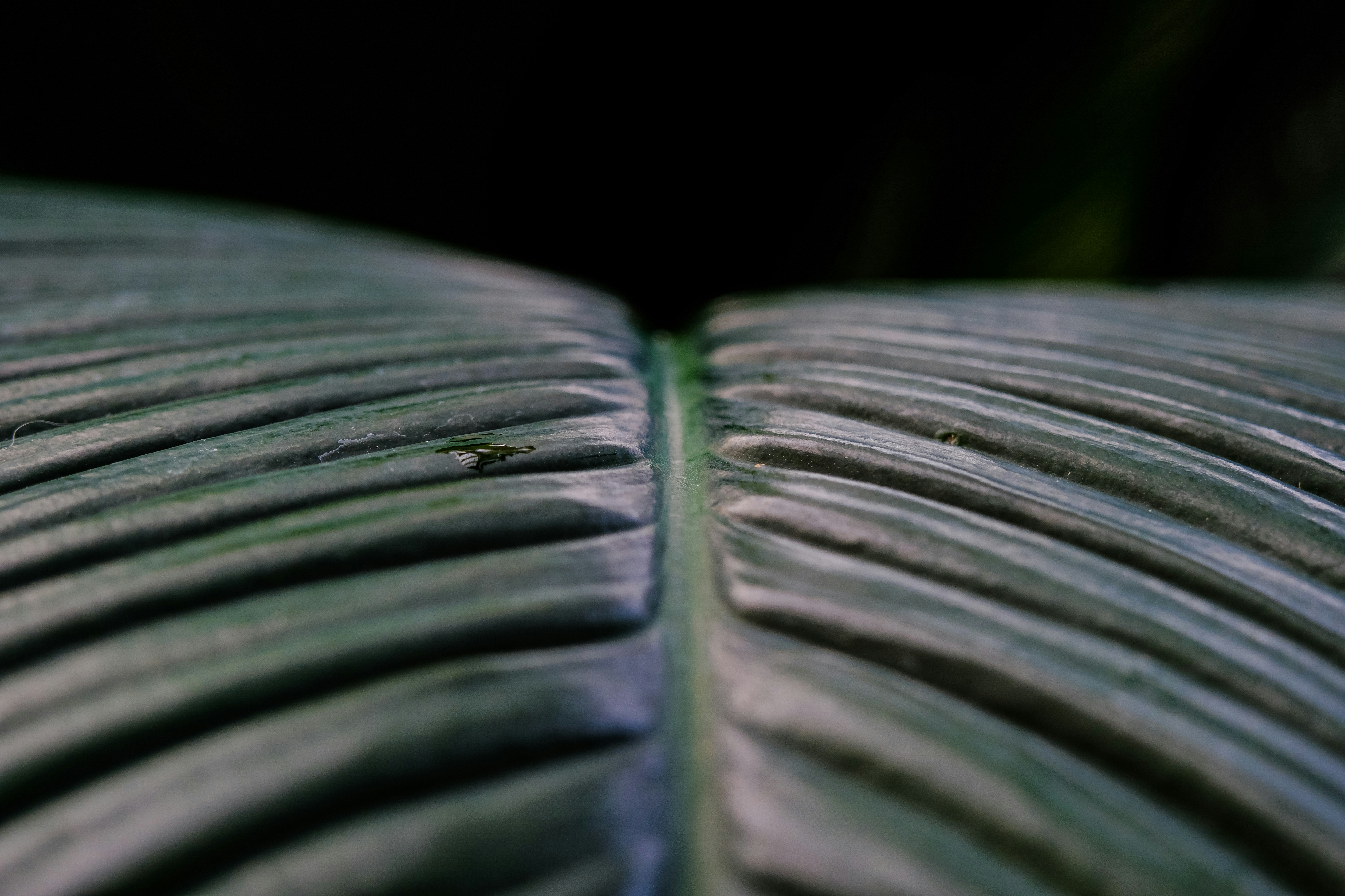 Photo by cestmoisheedy