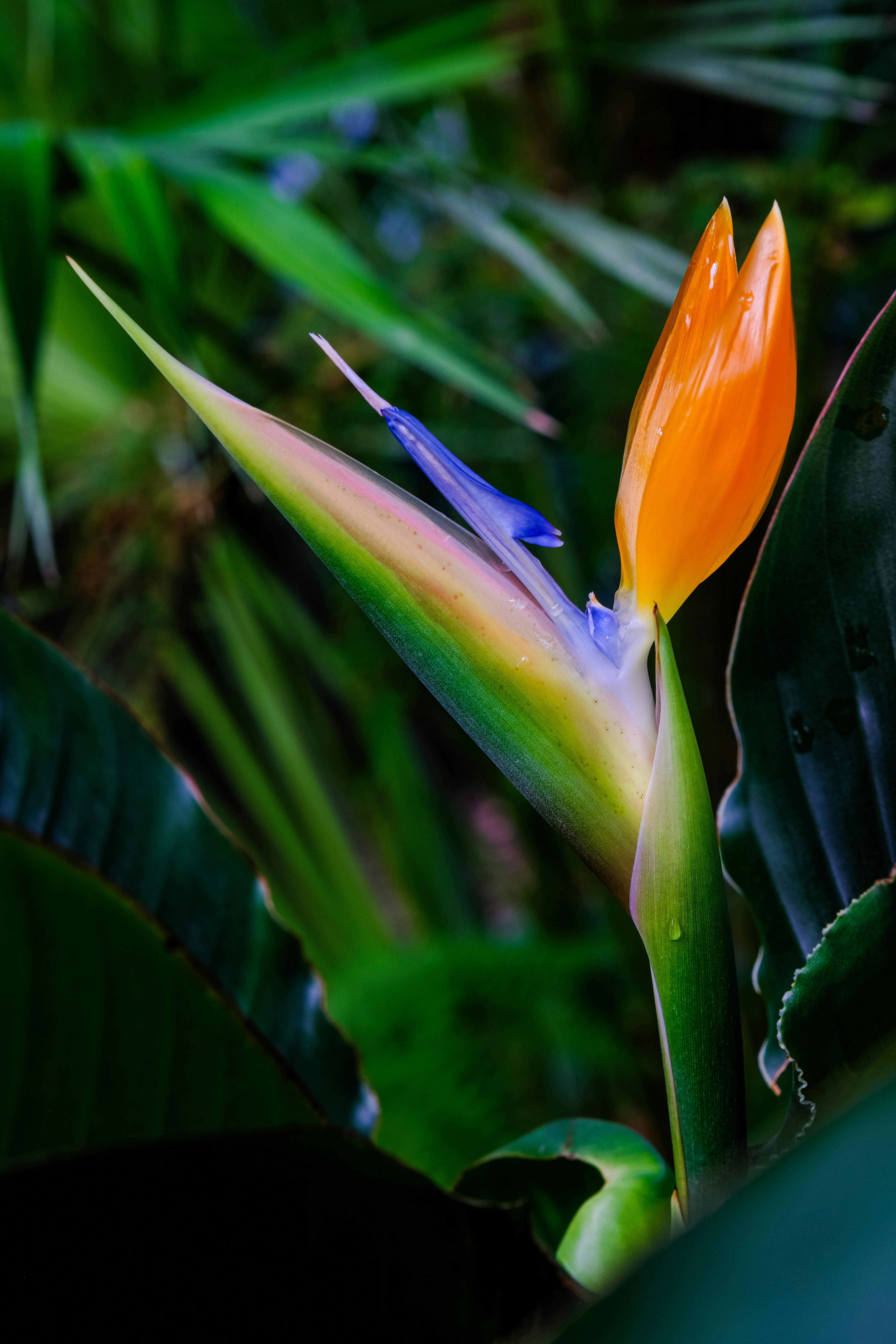 Photo by cestmoisheedy