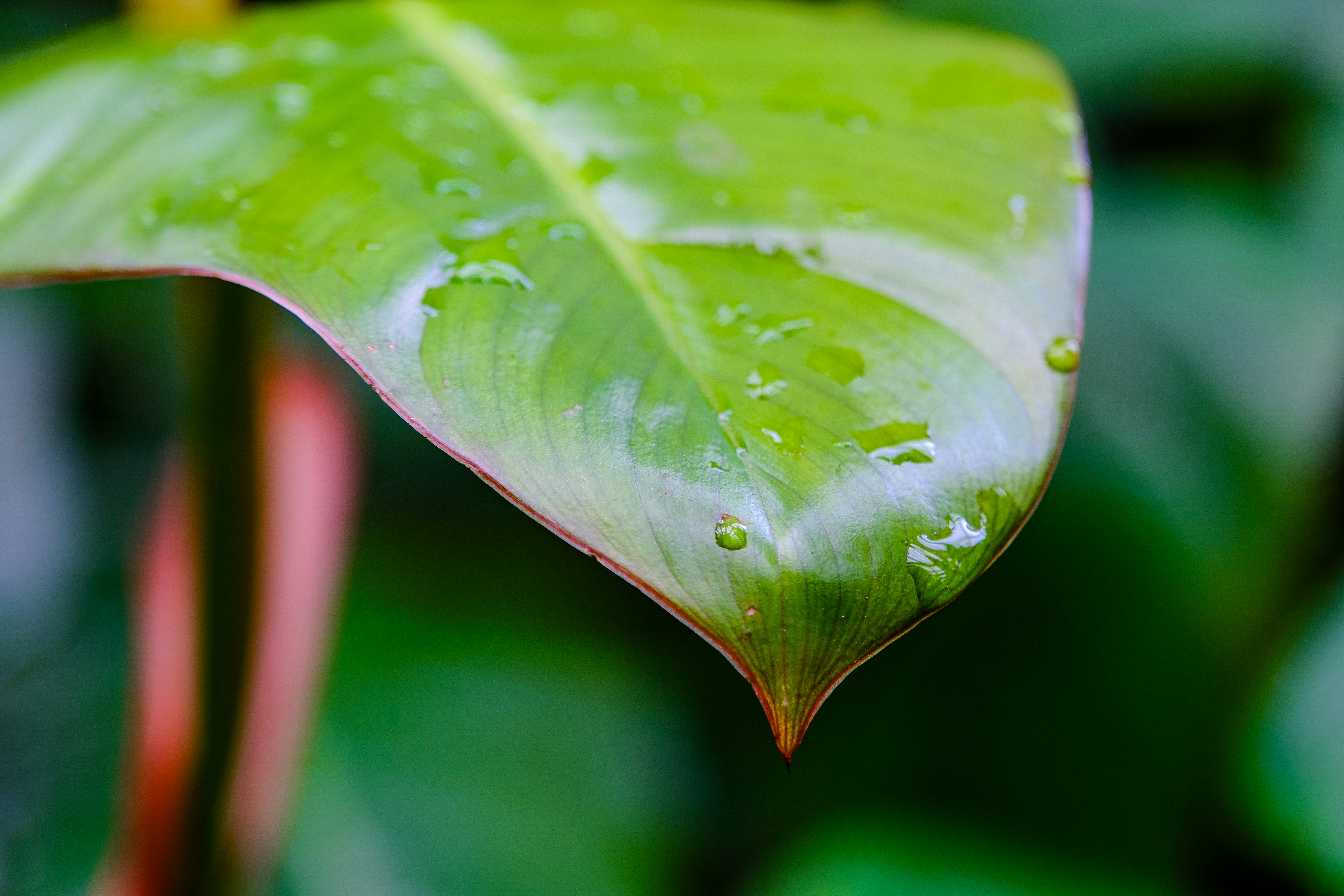 Photo by cestmoisheedy