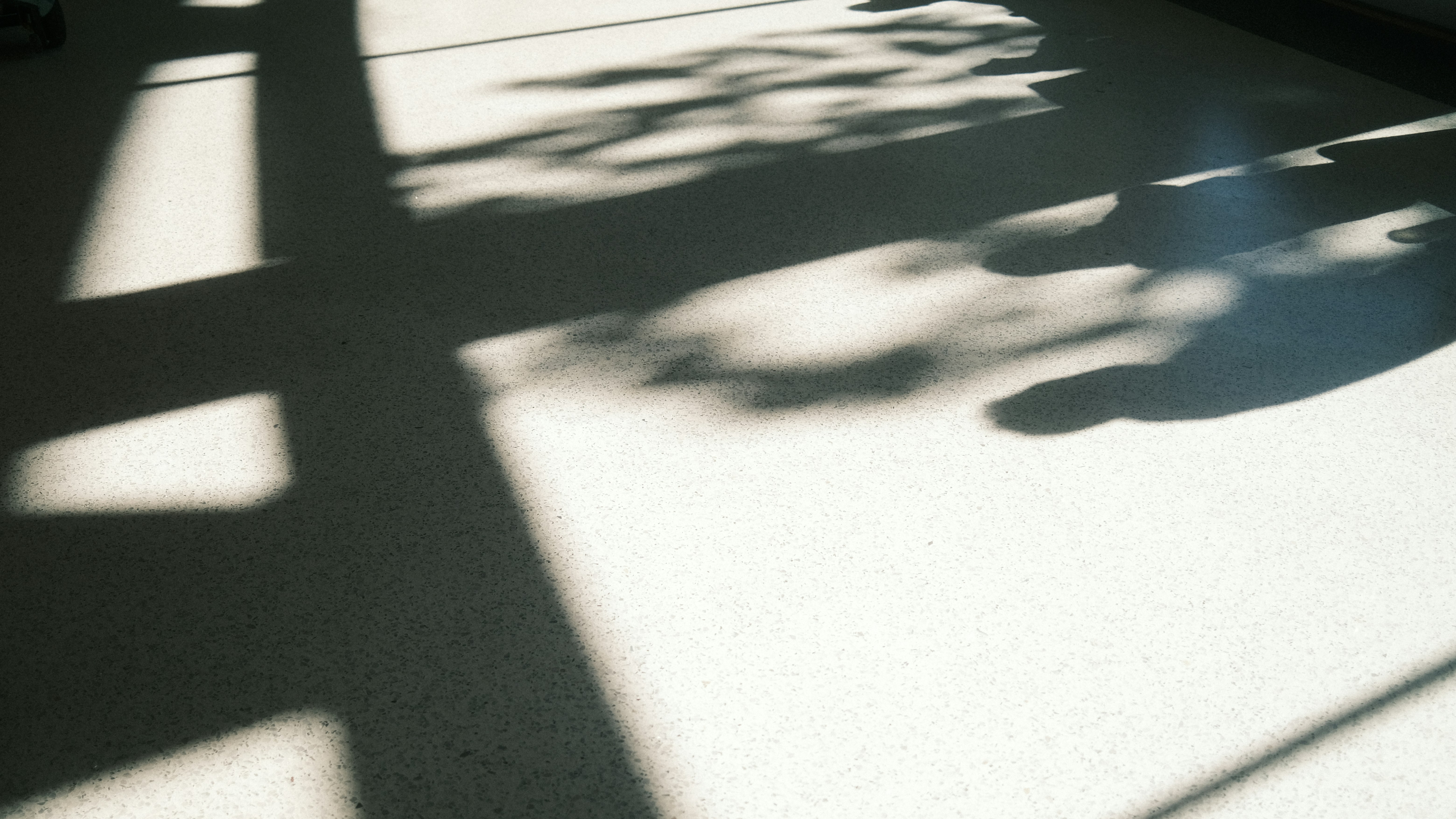 the shadow of a person sitting on a bench