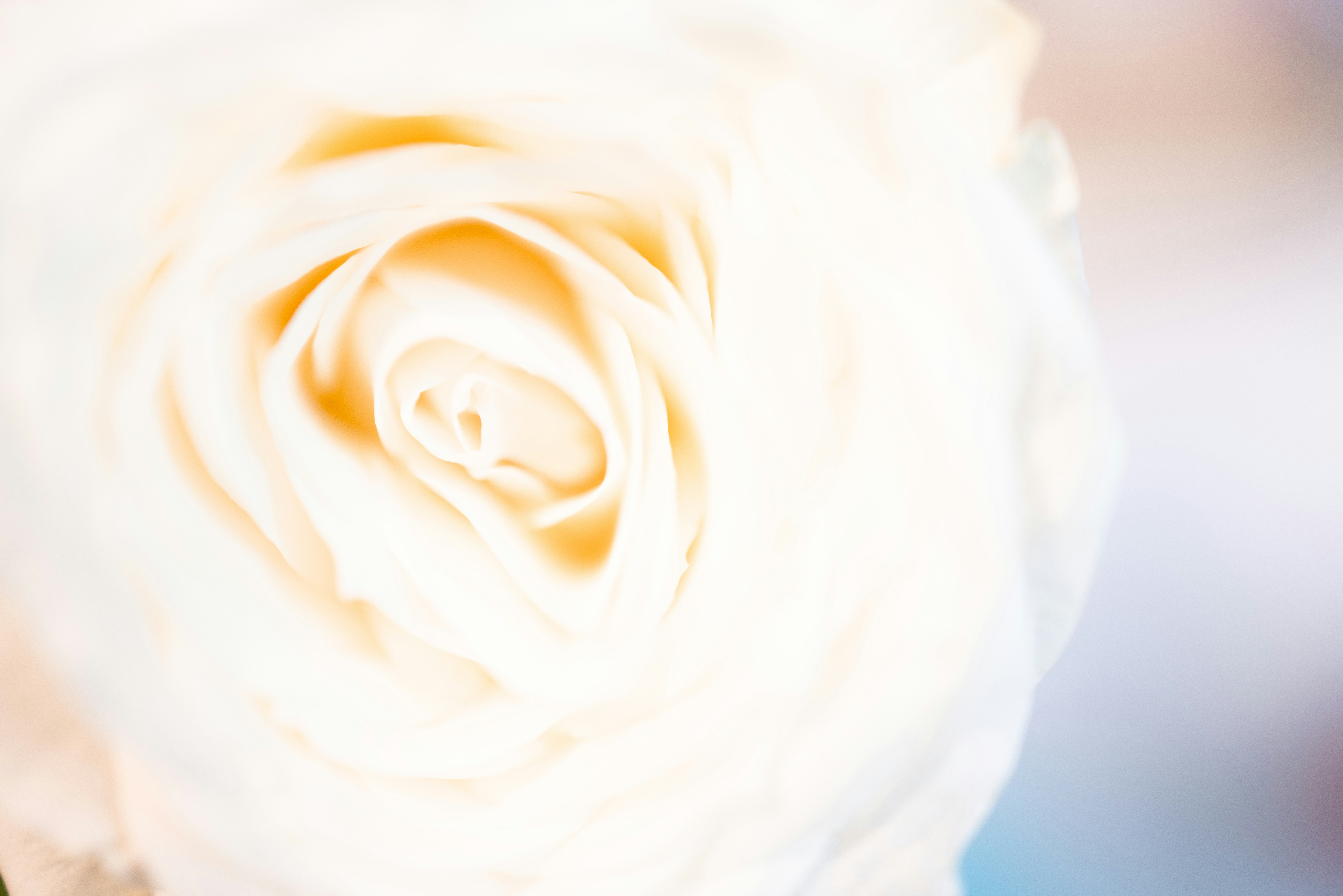 Photo by arttoinspire