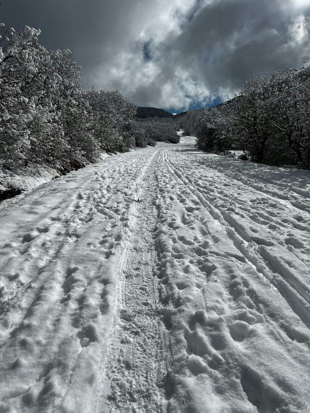 a snow covered road surrounded by trees under a cloudy sky