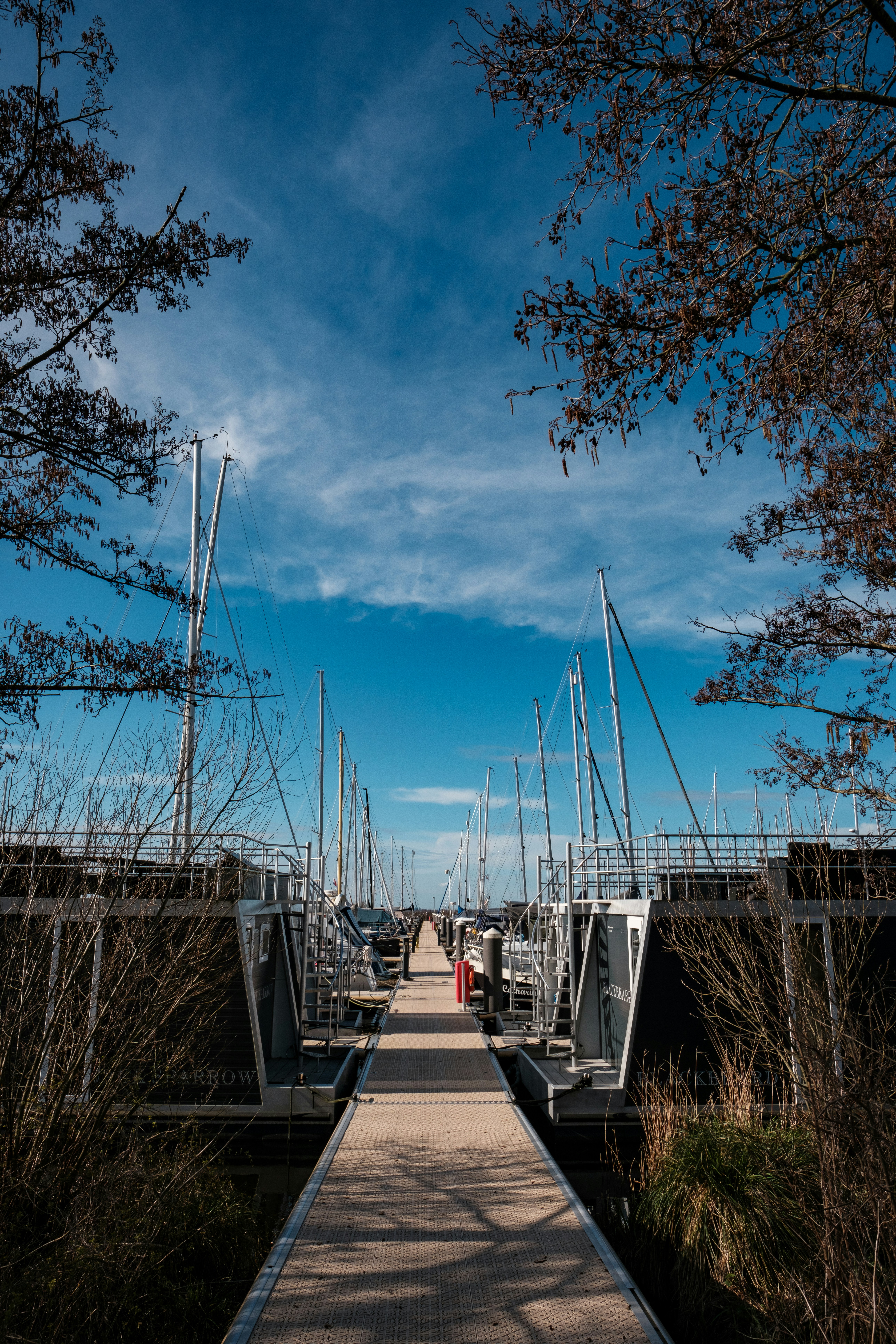 Photo by haberdoedas2