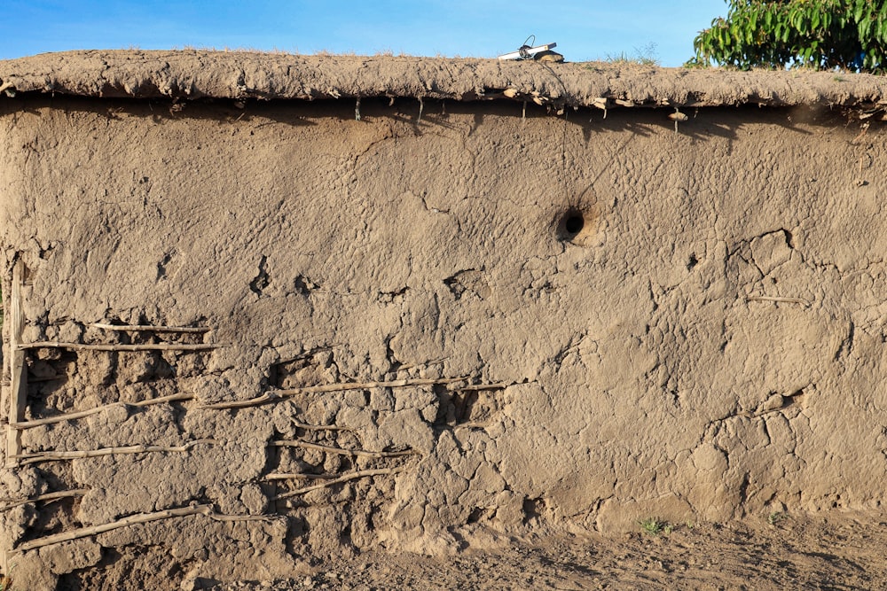 una pared hecha de barro con pájaros posados encima de ella