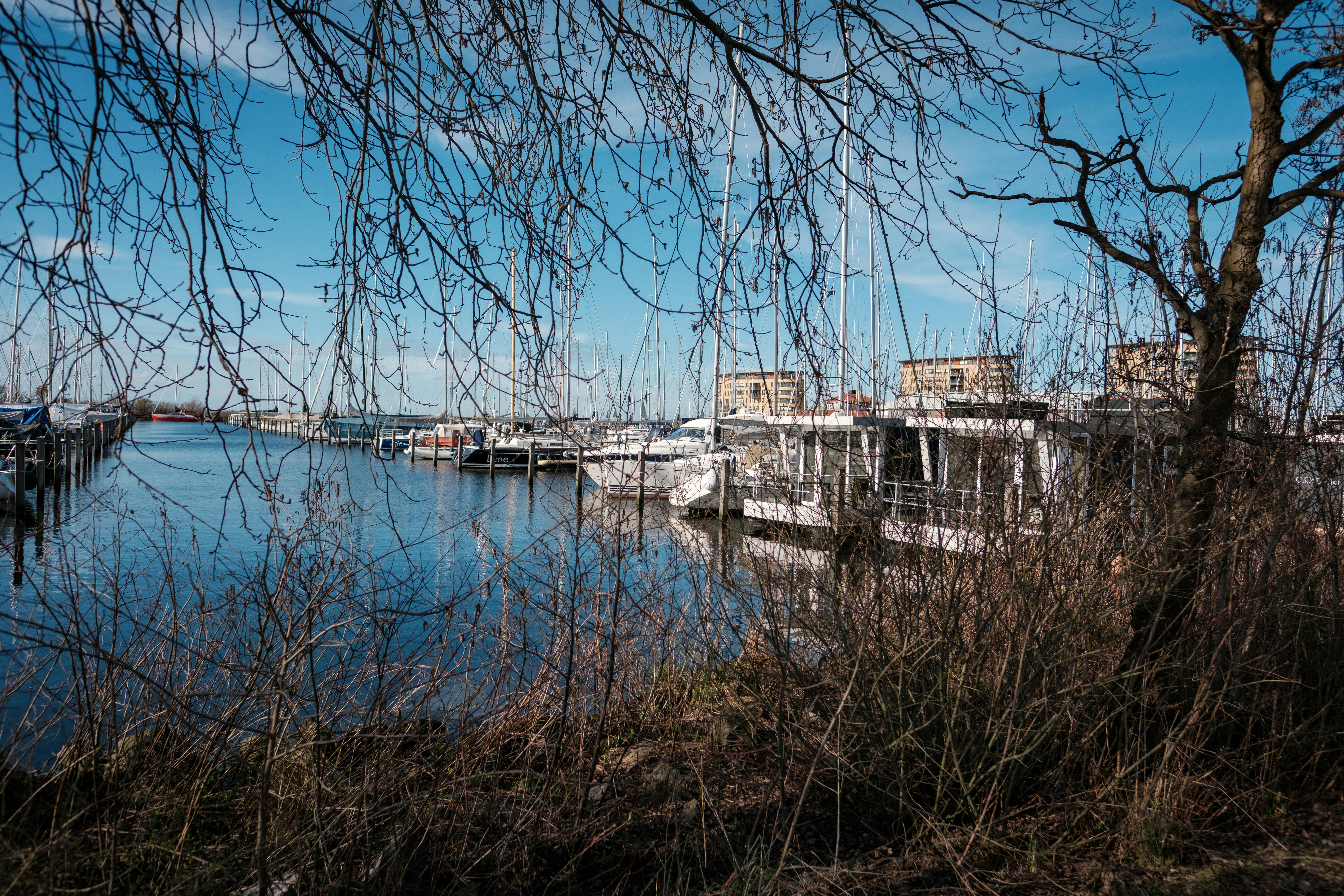 Photo by haberdoedas2