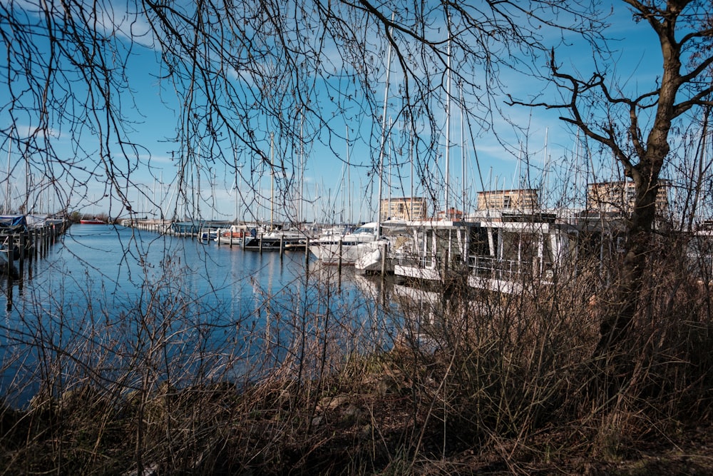 a body of water with a bunch of boats in it