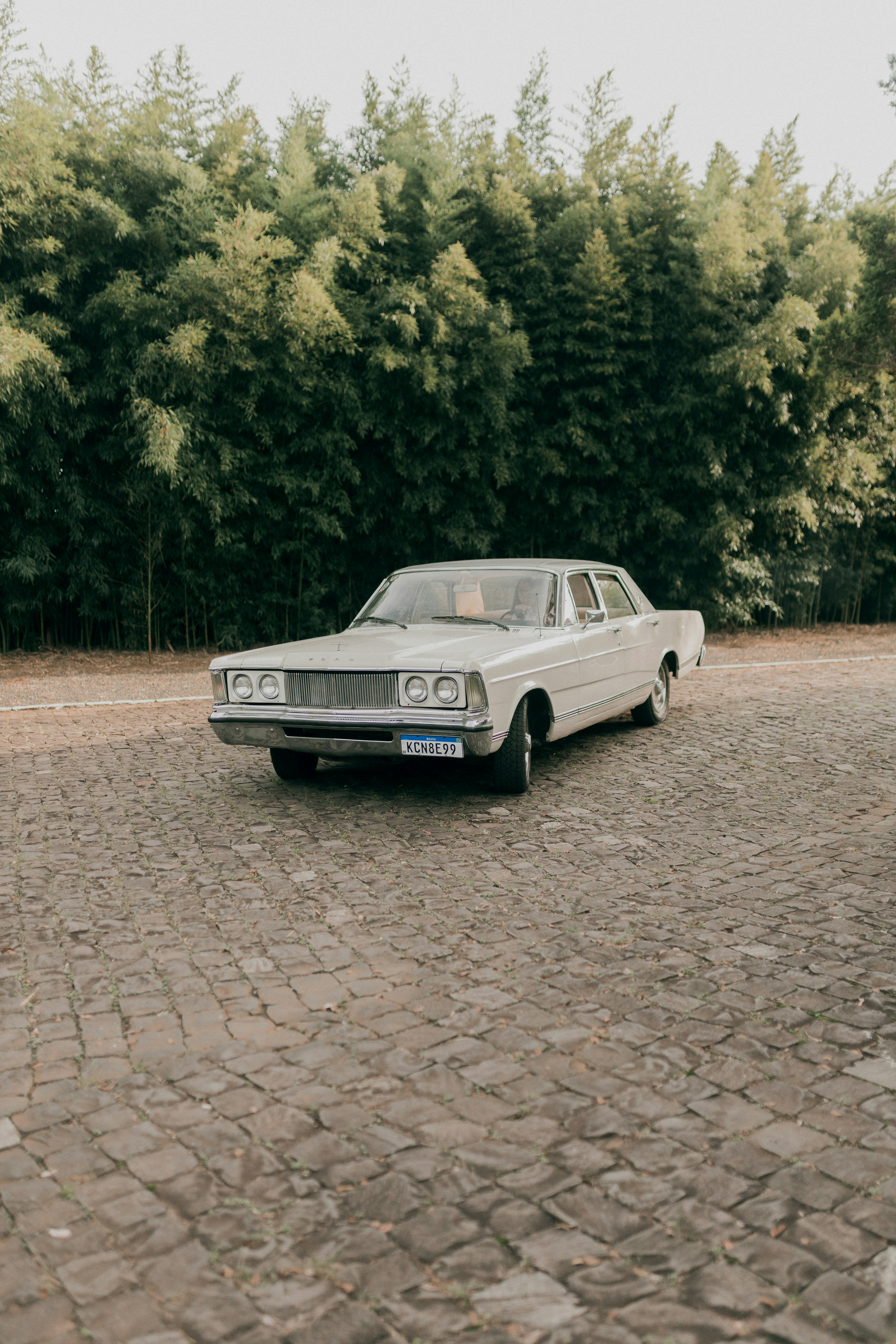 Photo by alexandermassph