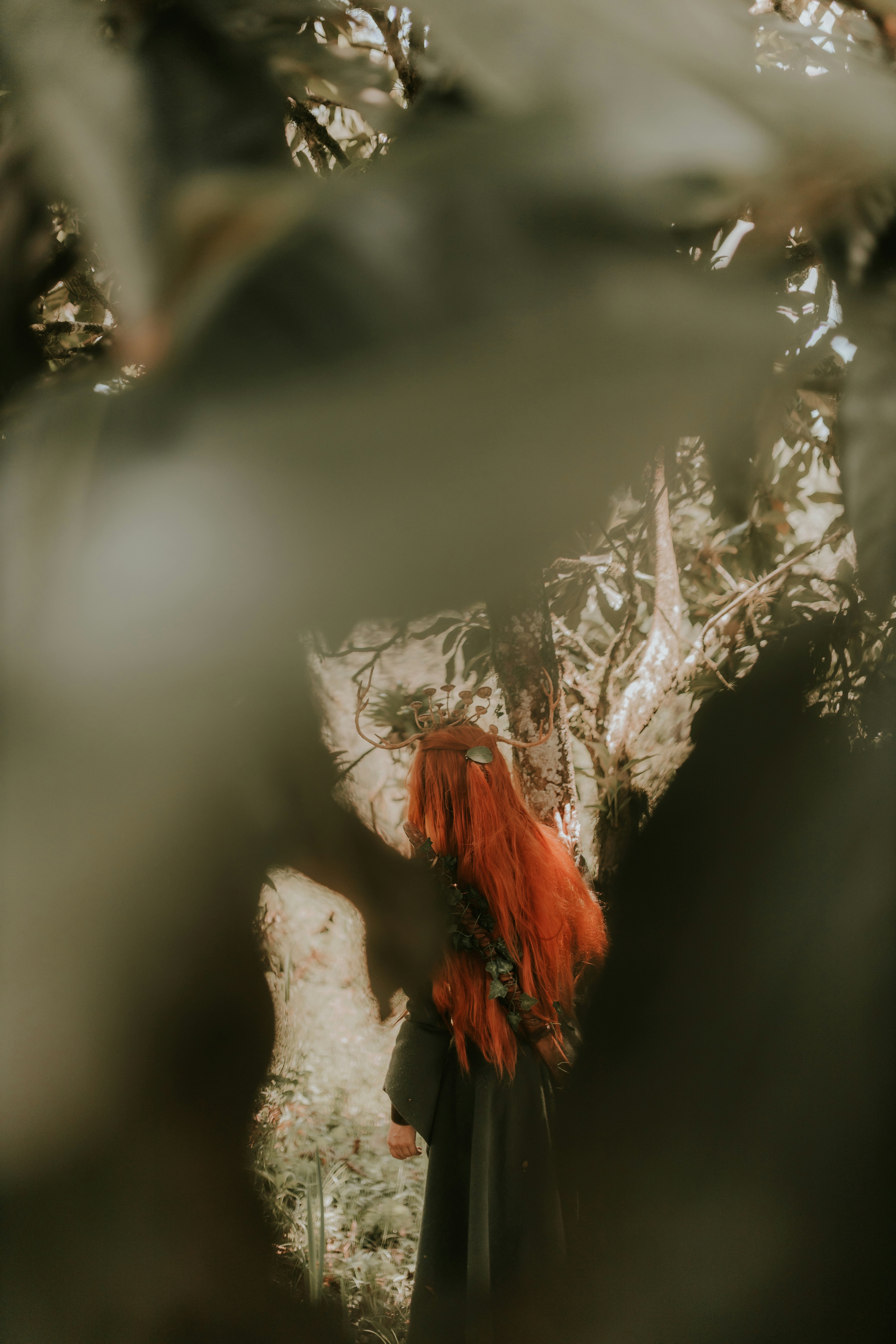 Photo by alexandermassph