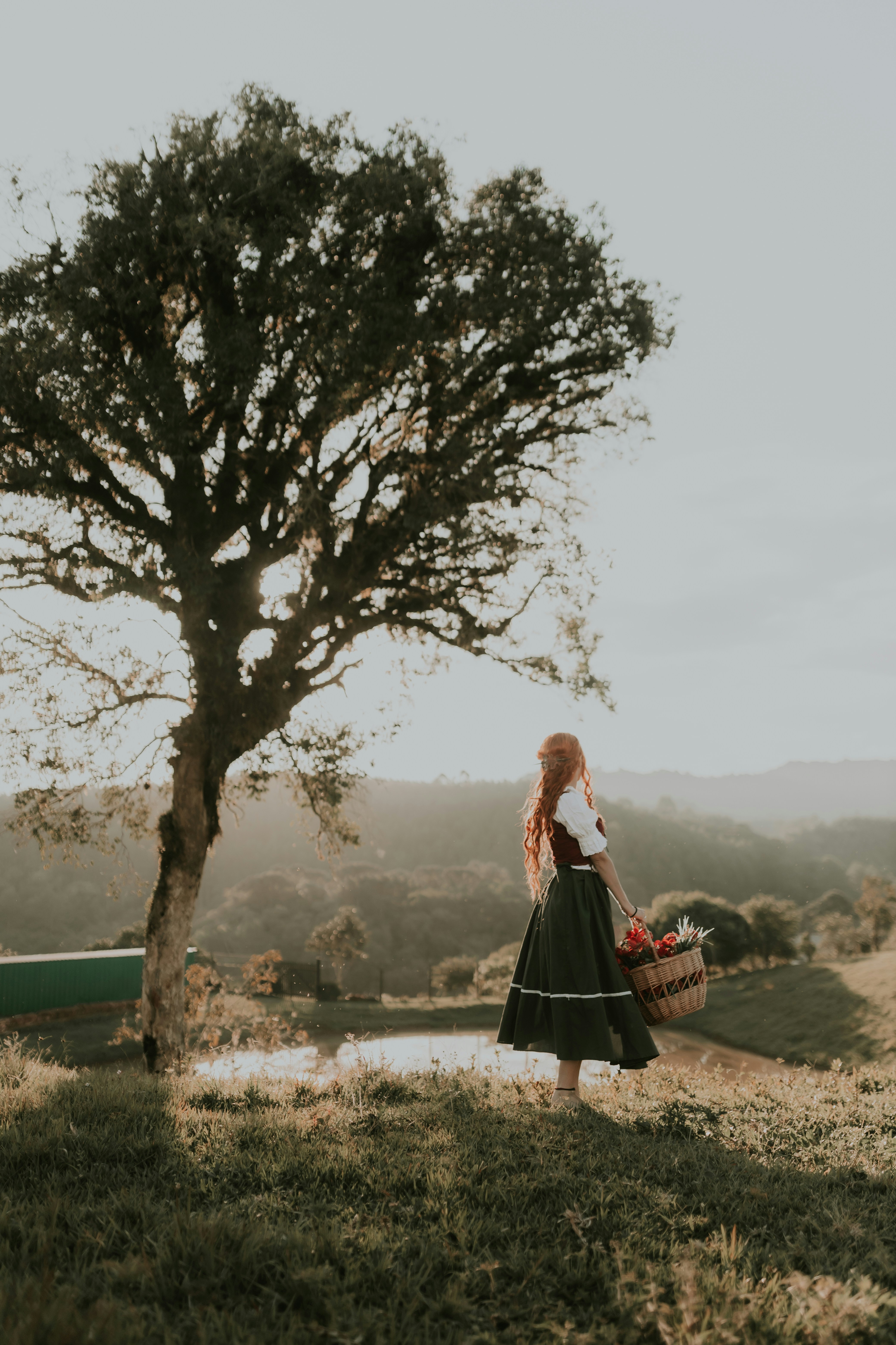 Photo by alexandermassph