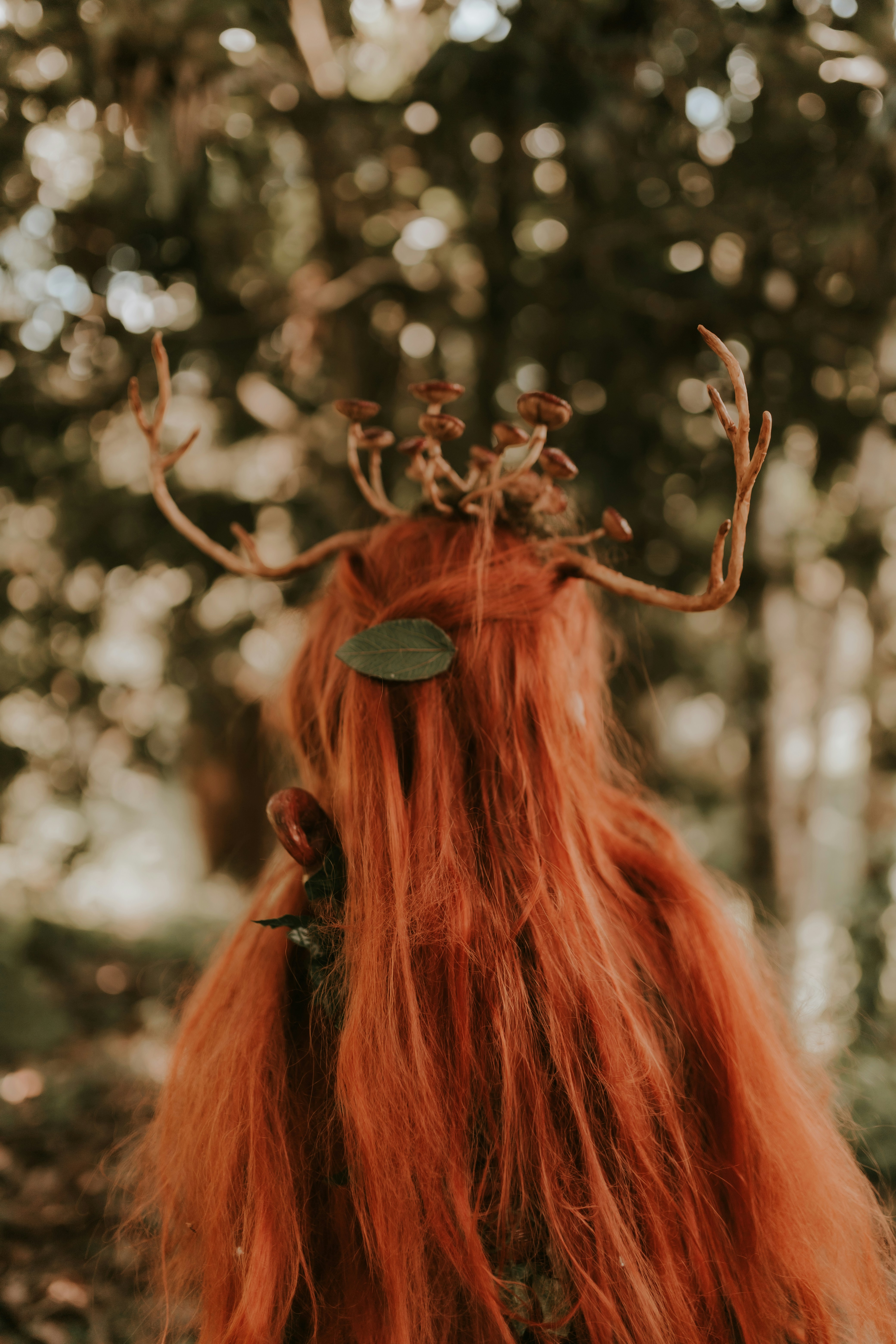 Photo by alexandermassph