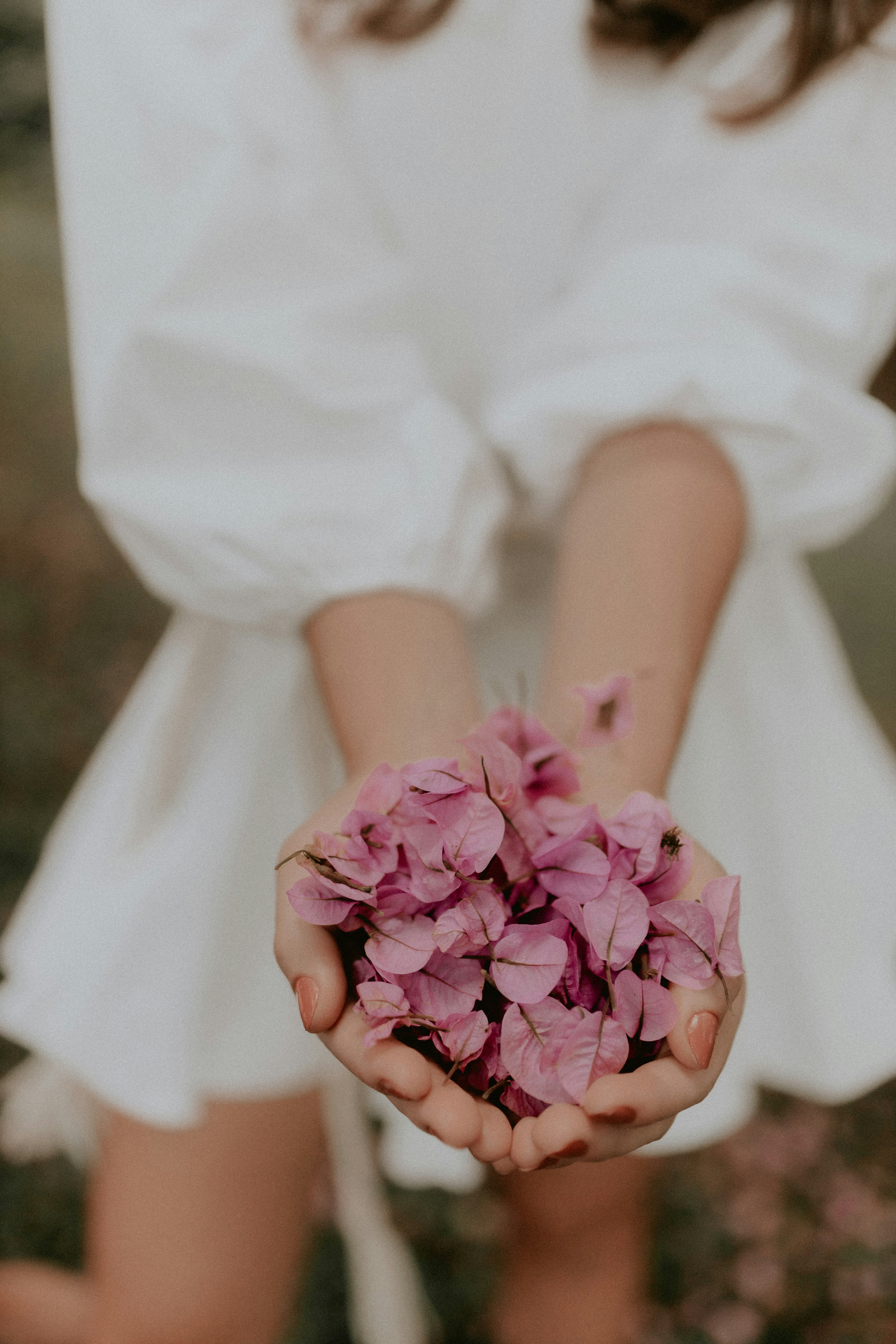 Photo by alexandermassph