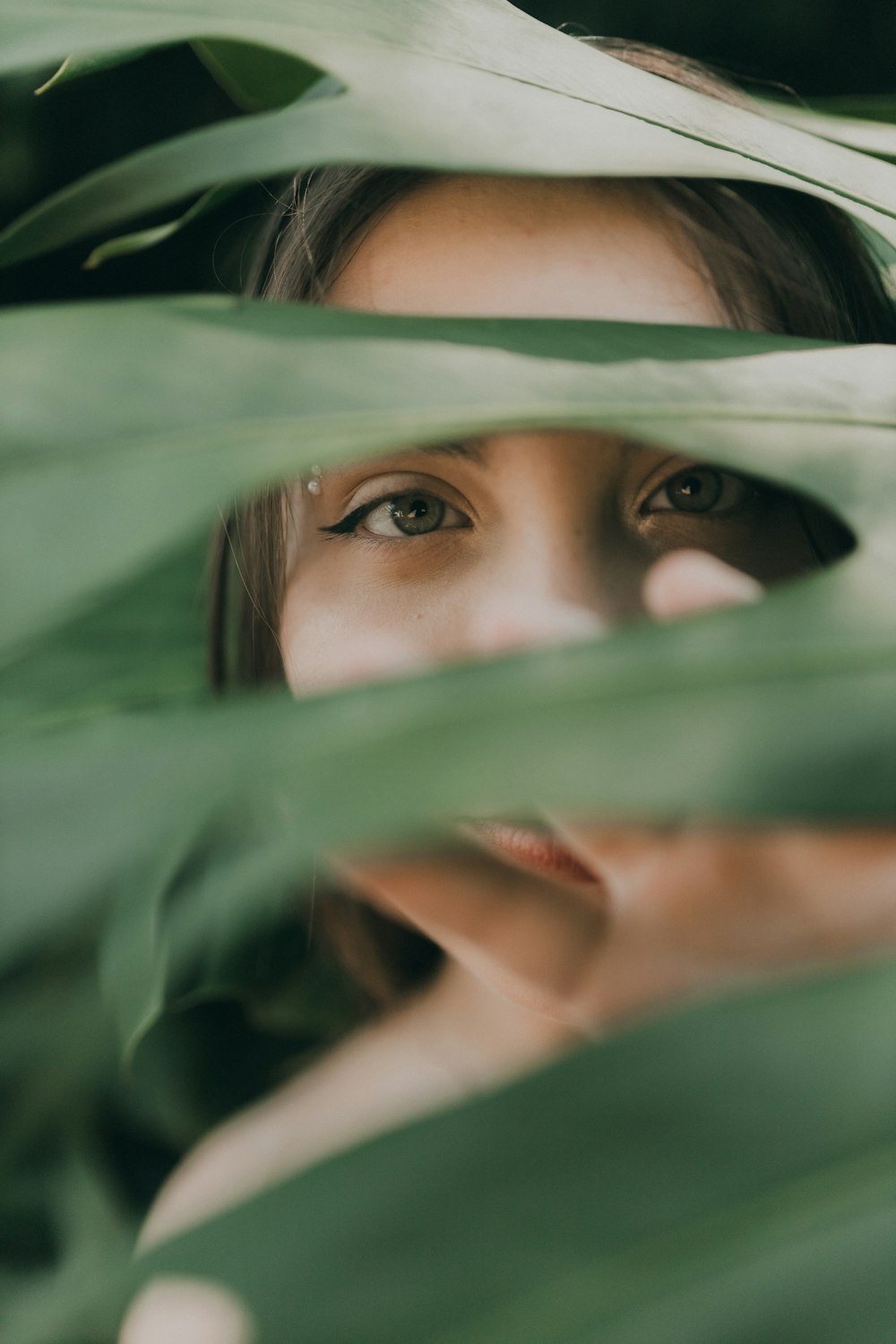 a close up of a person behind a plant
