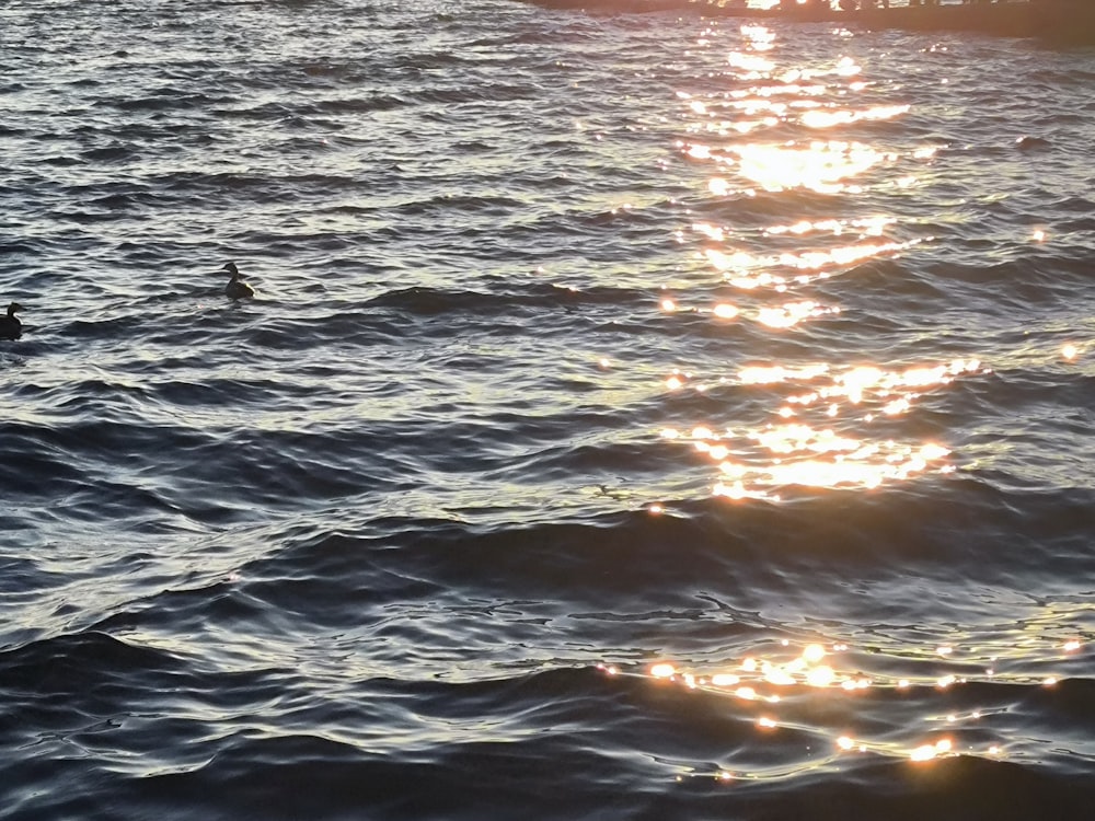 a person riding a surfboard on a large body of water