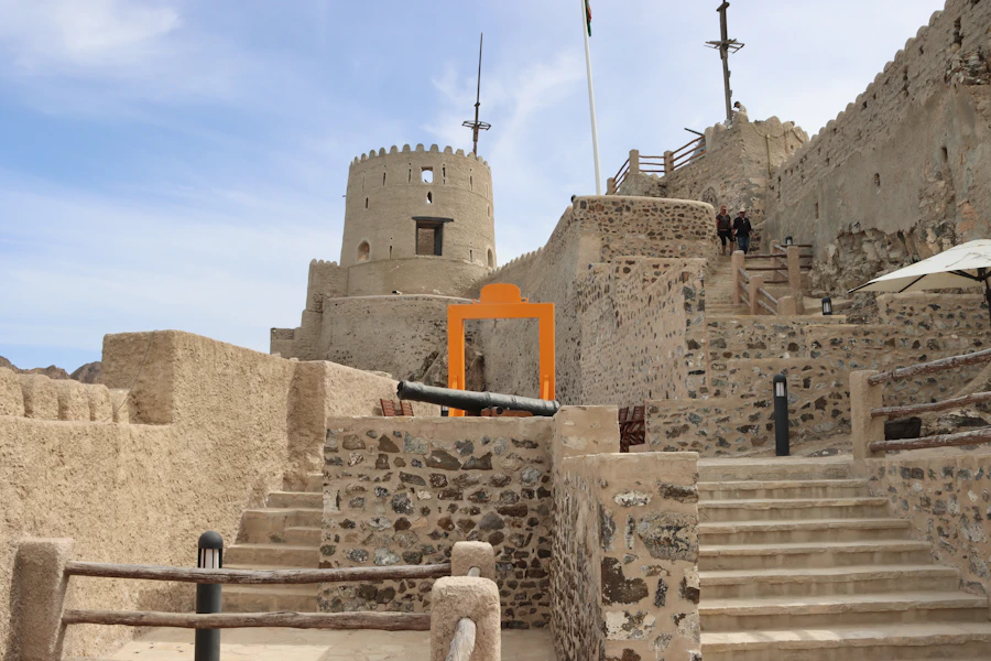 قلعة شناص