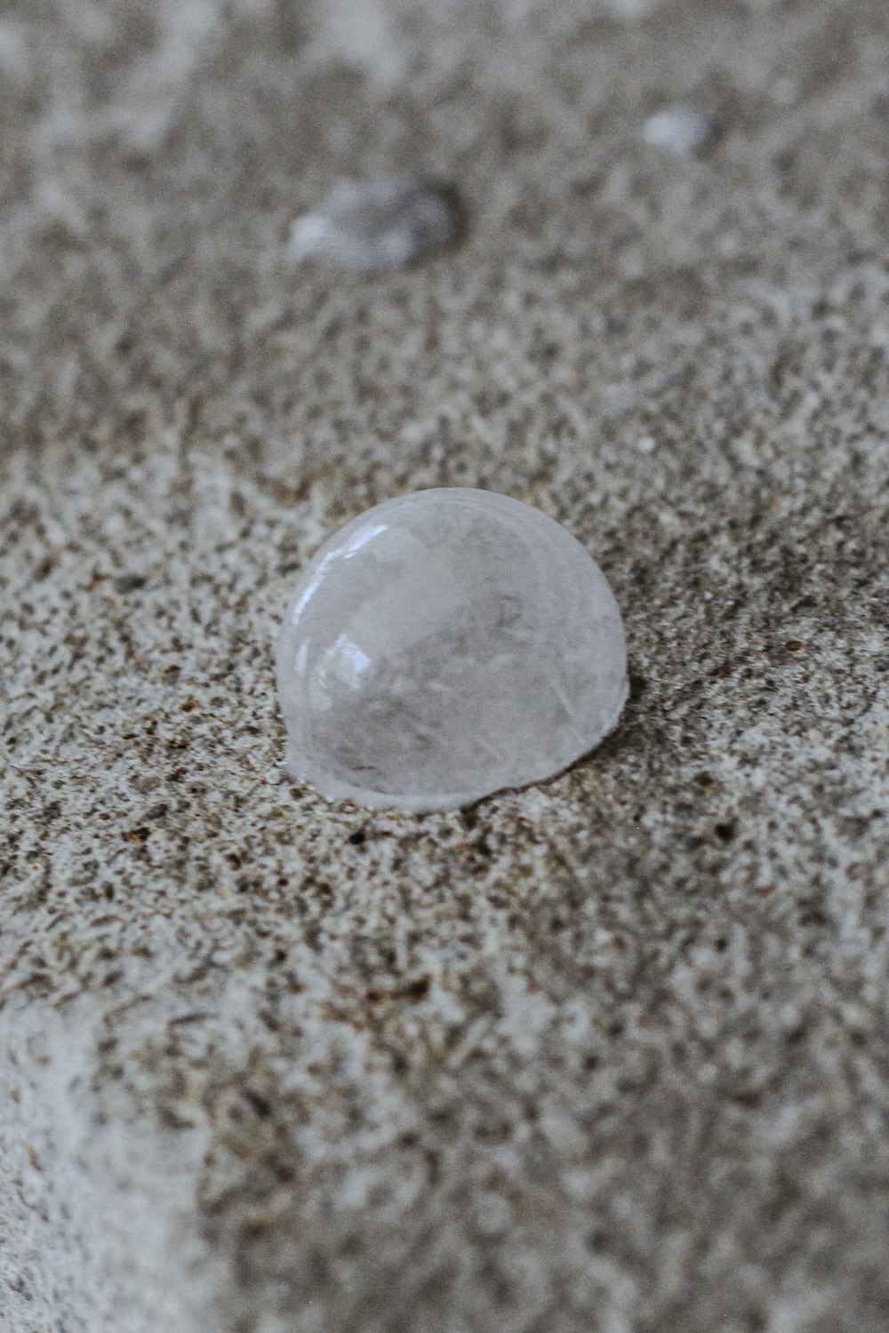 a close up of a small object on the ground