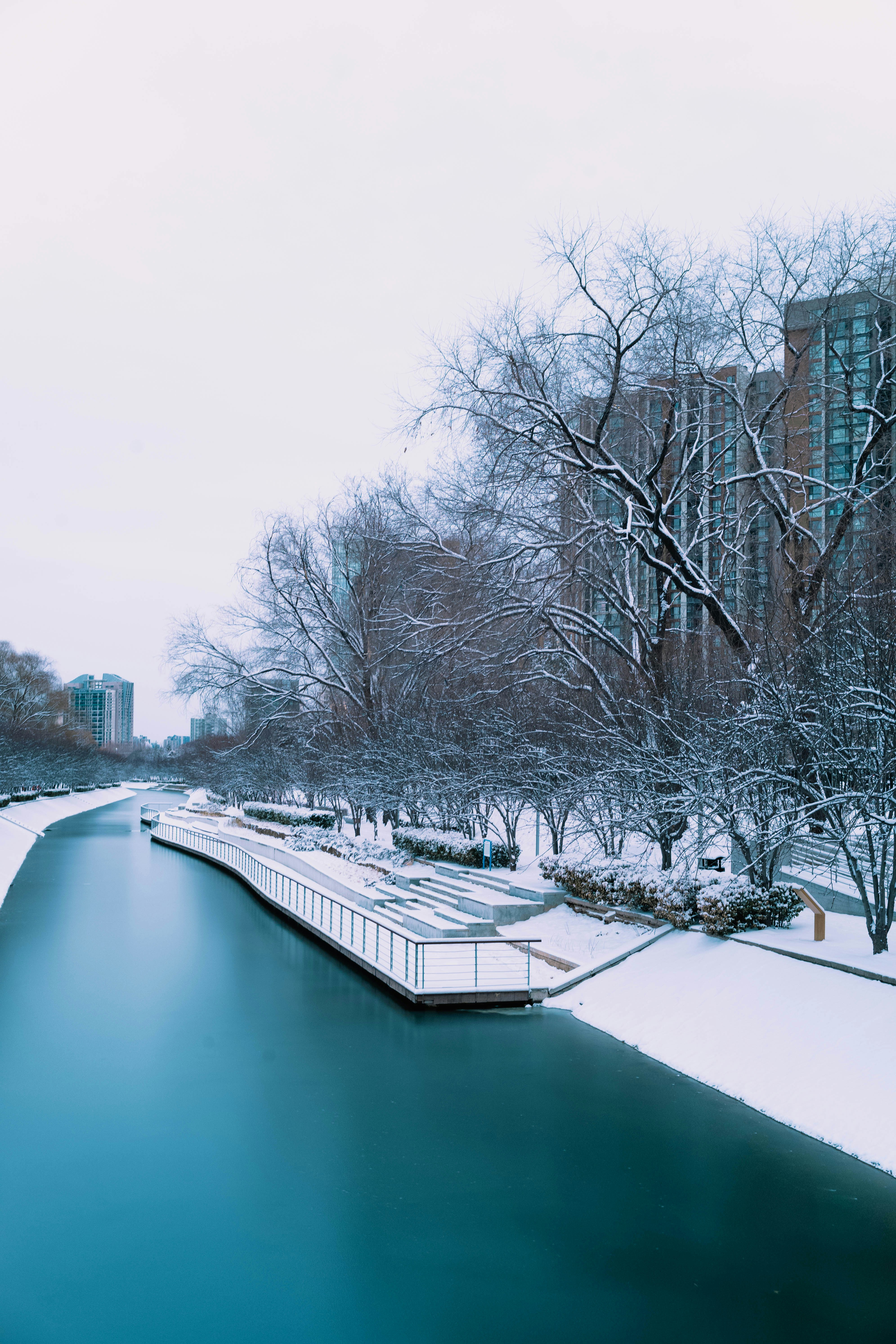 Photo by tommaomaoer