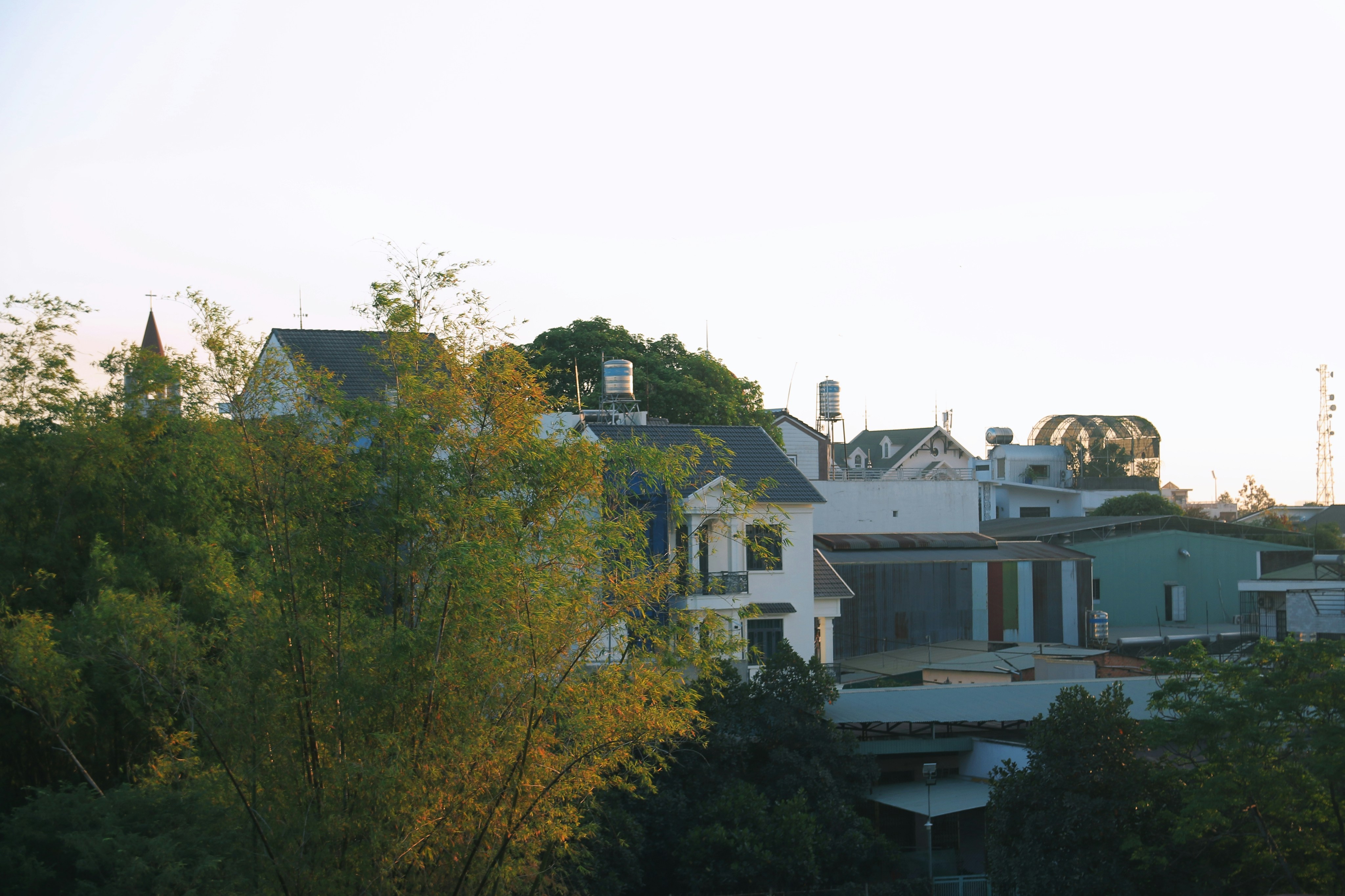 Containers in Cottage Grove, OR