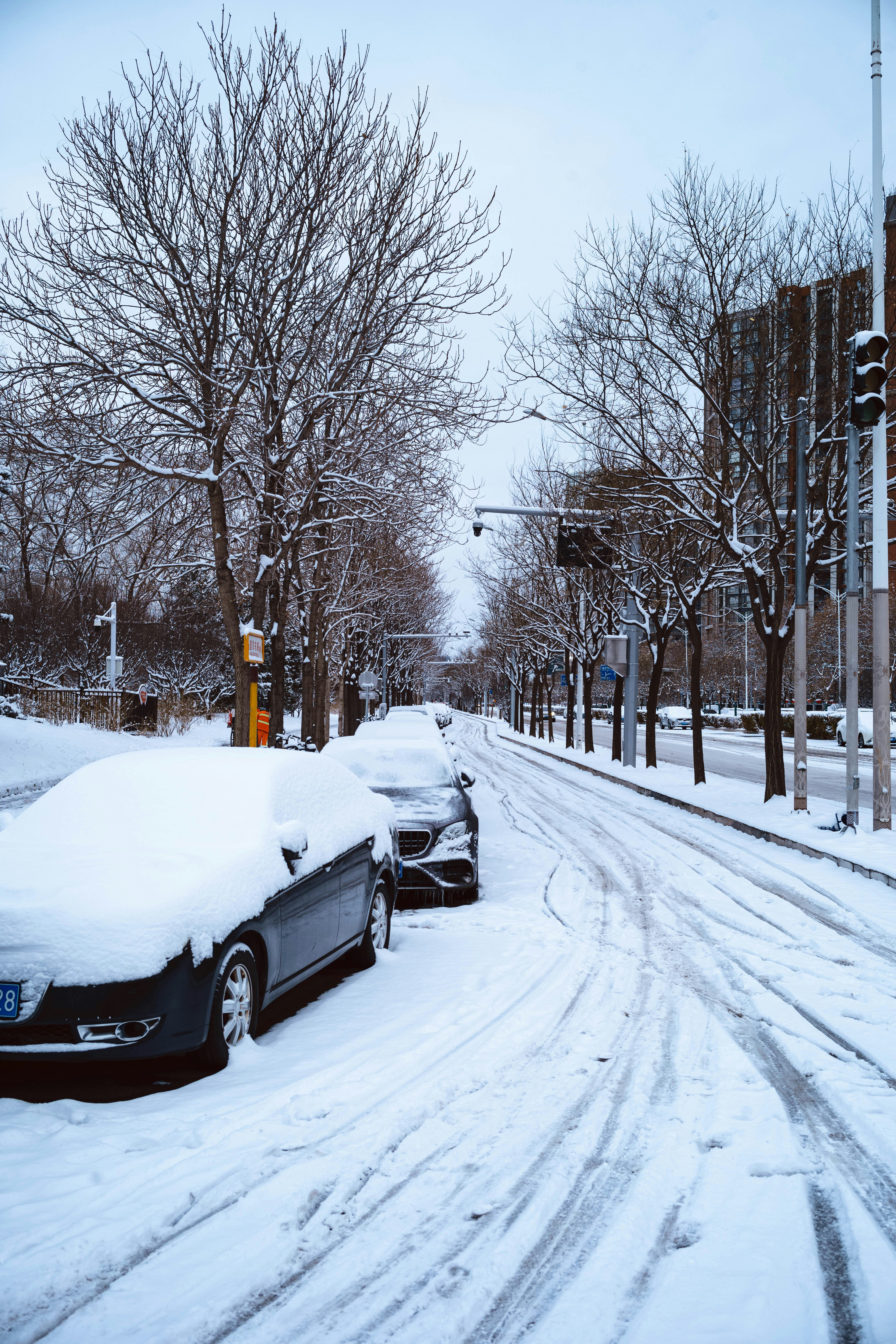 Photo by tommaomaoer