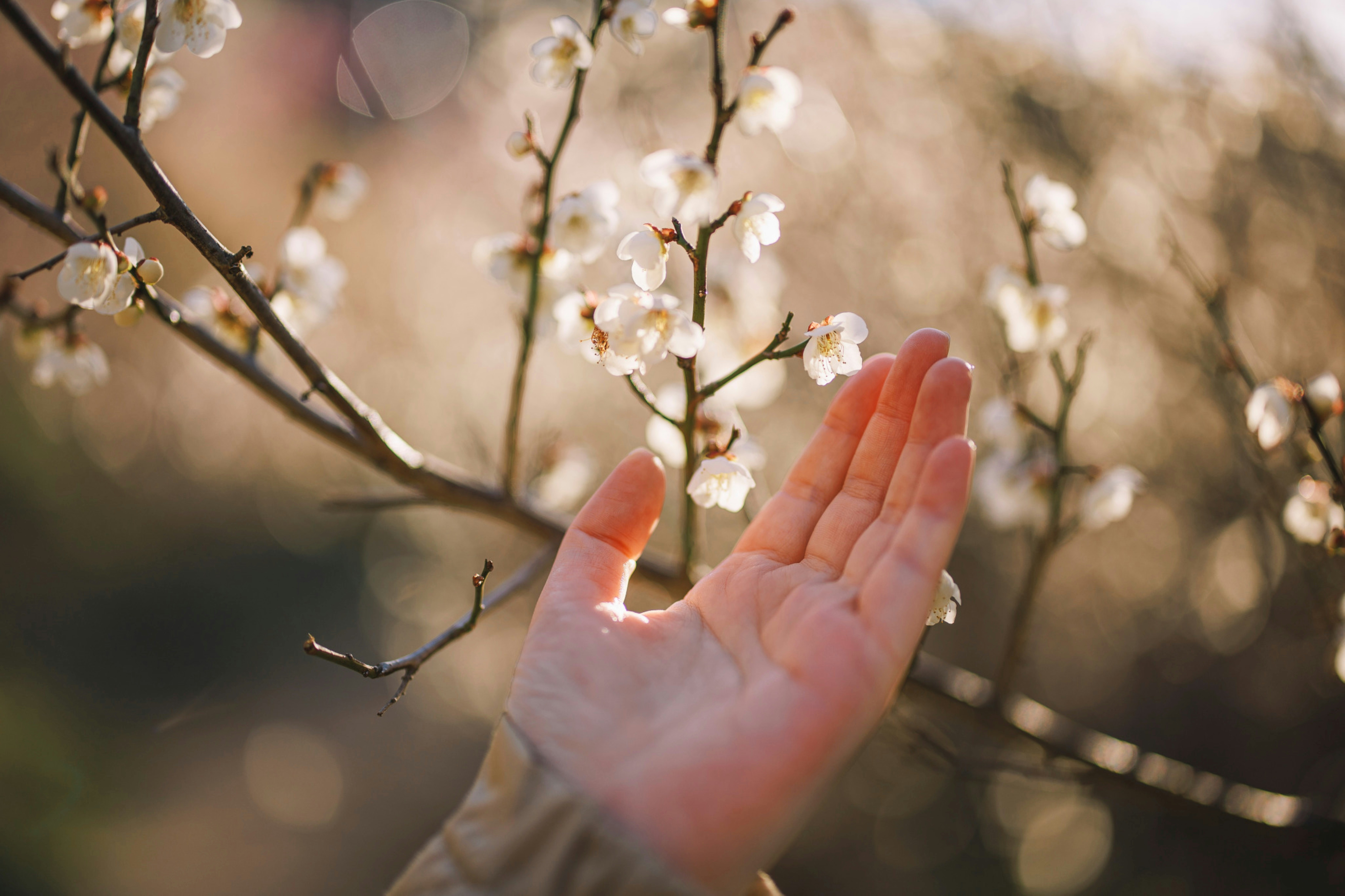 Photo by ilhamrahmat