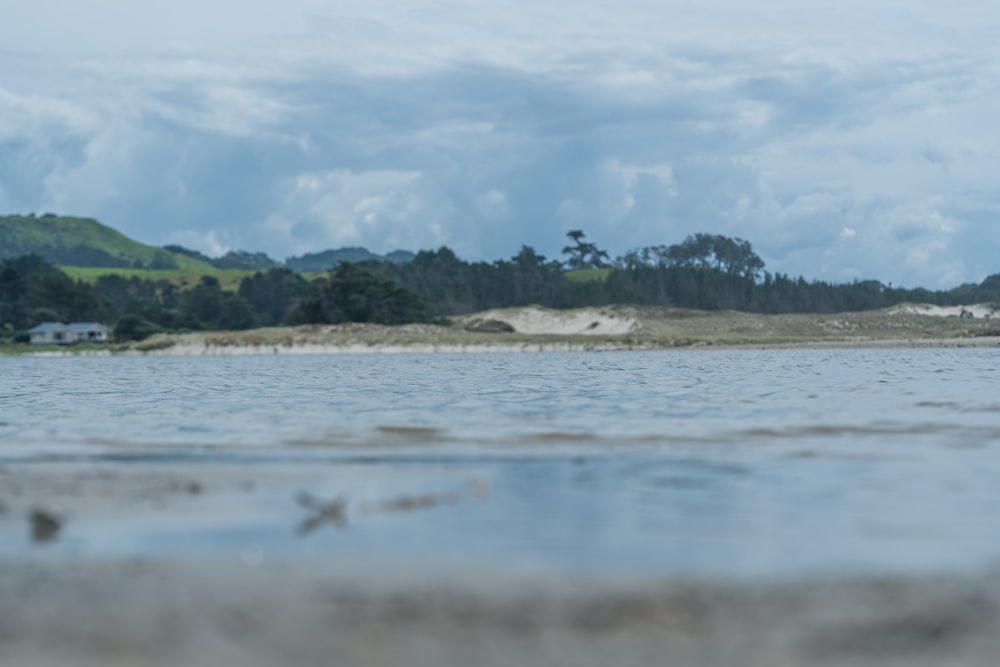 a large body of water with trees in the background