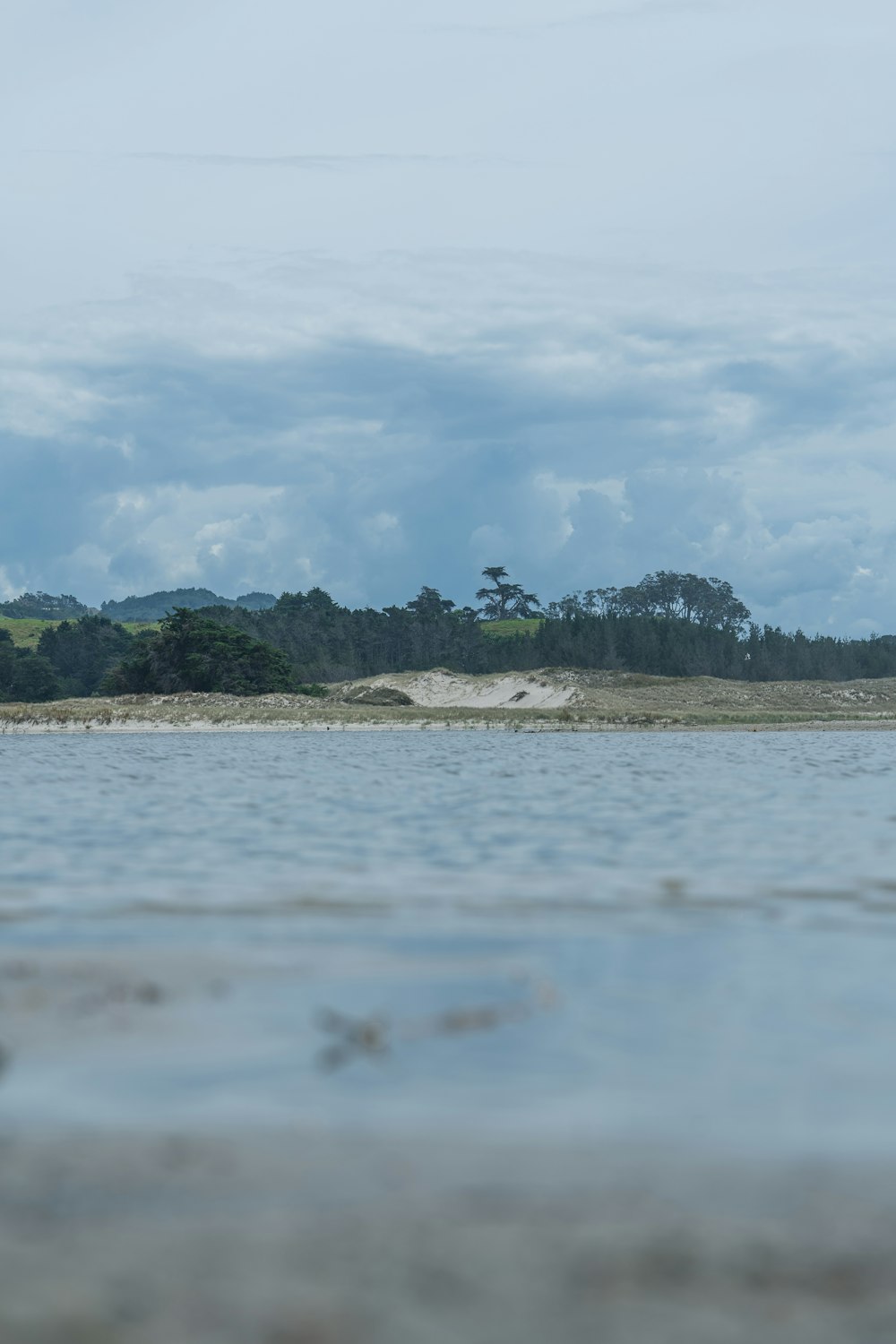 a large body of water with trees in the background