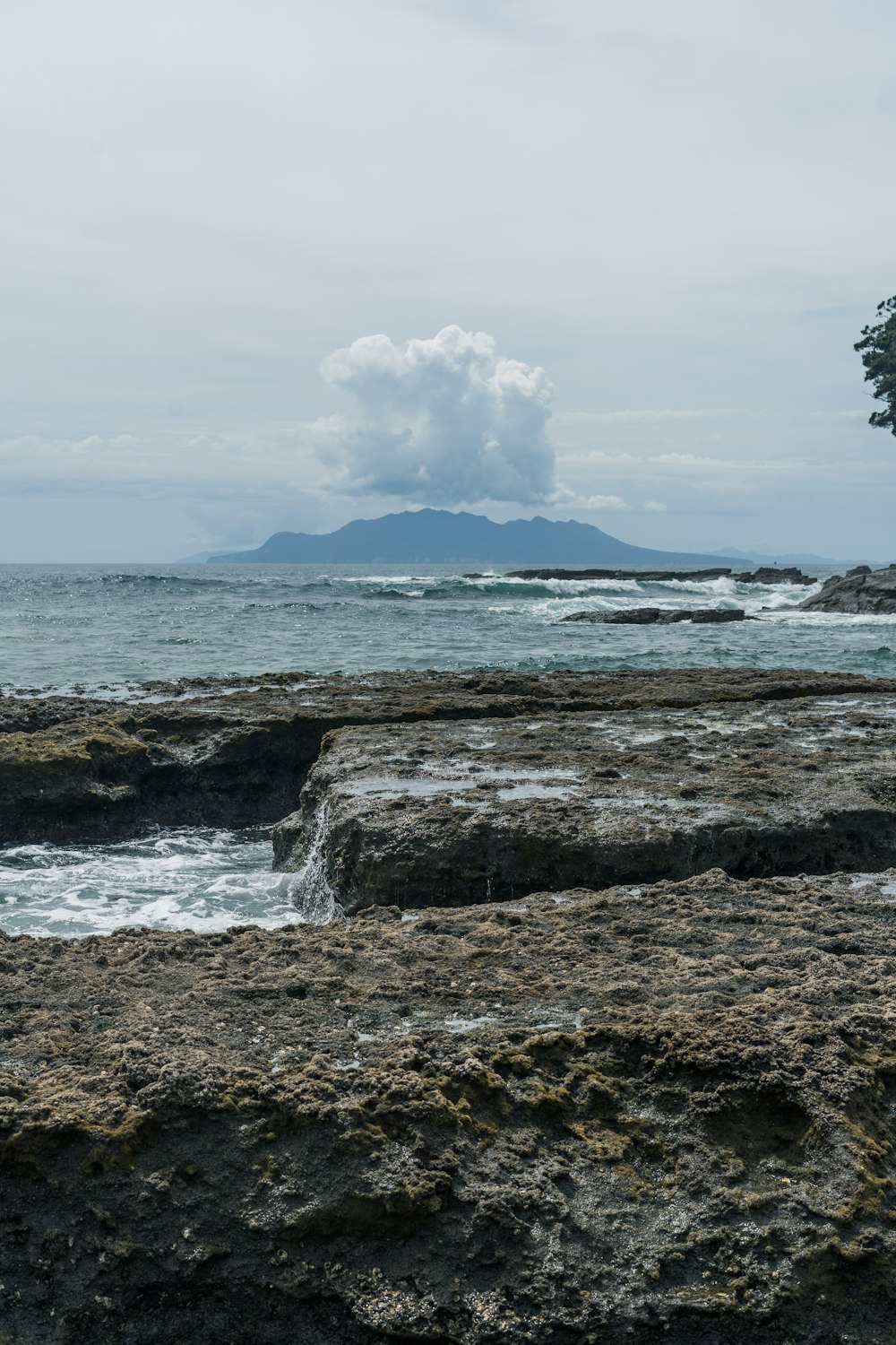 바위가 많은 해안 옆에 앉아있는 큰 수역