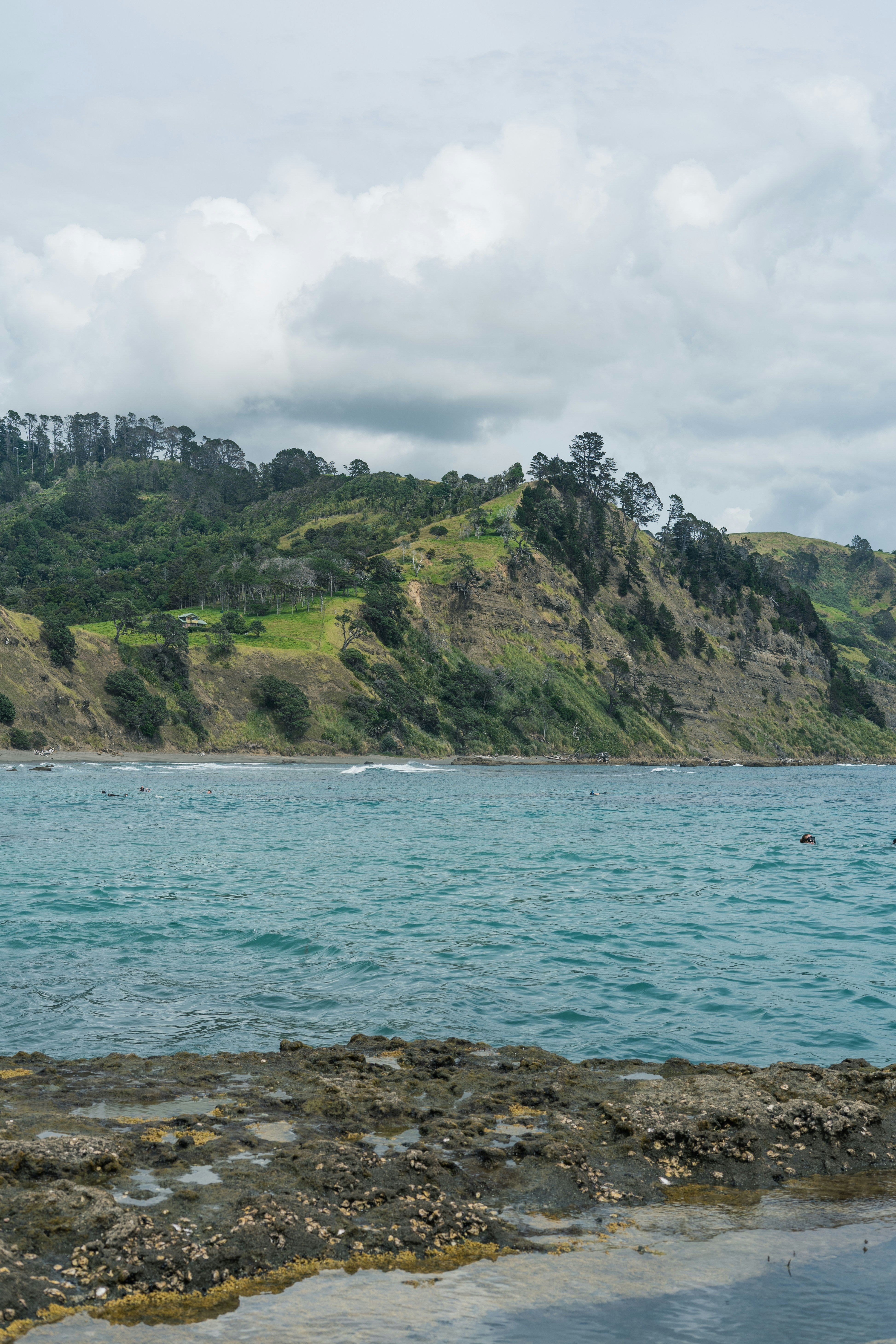 Photo by countingframez