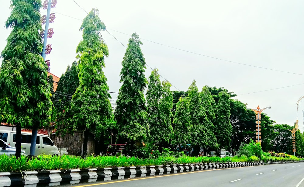 a street lined with trees and a white van