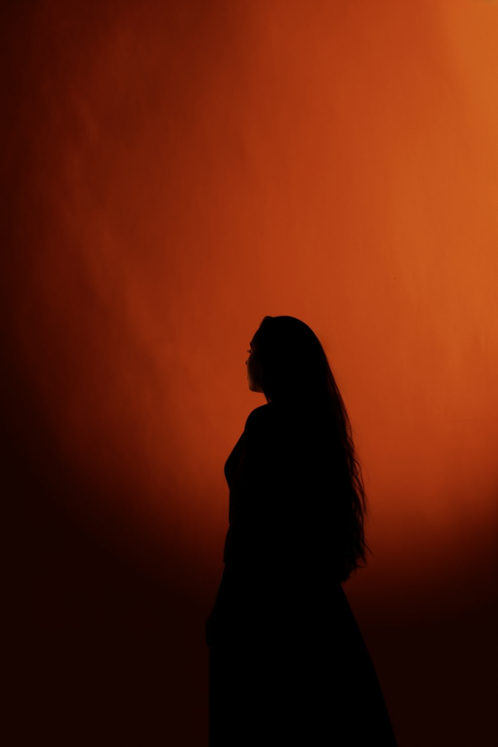 a silhouette of a woman against a red sky