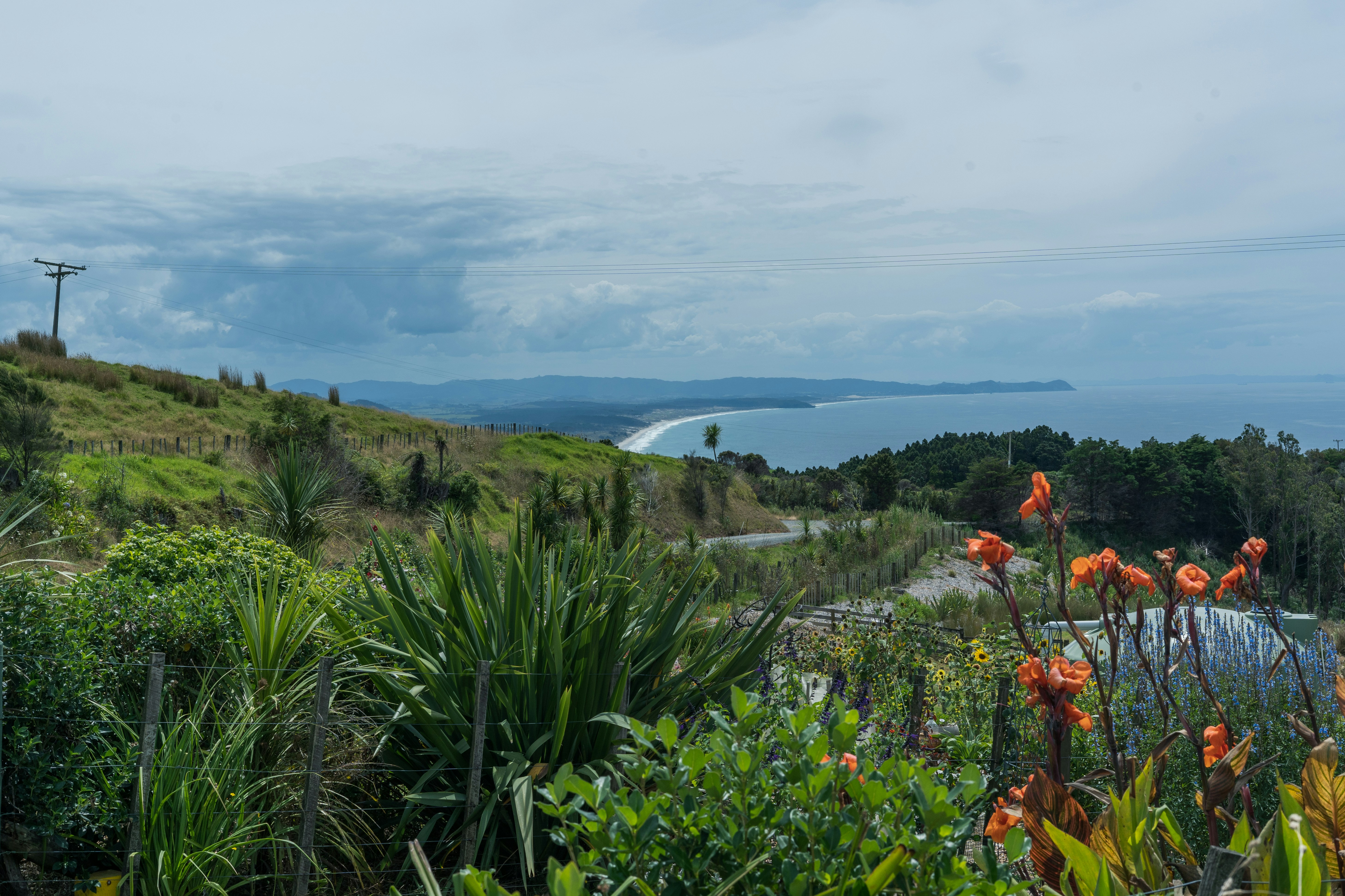 a view of the ocean from a hill