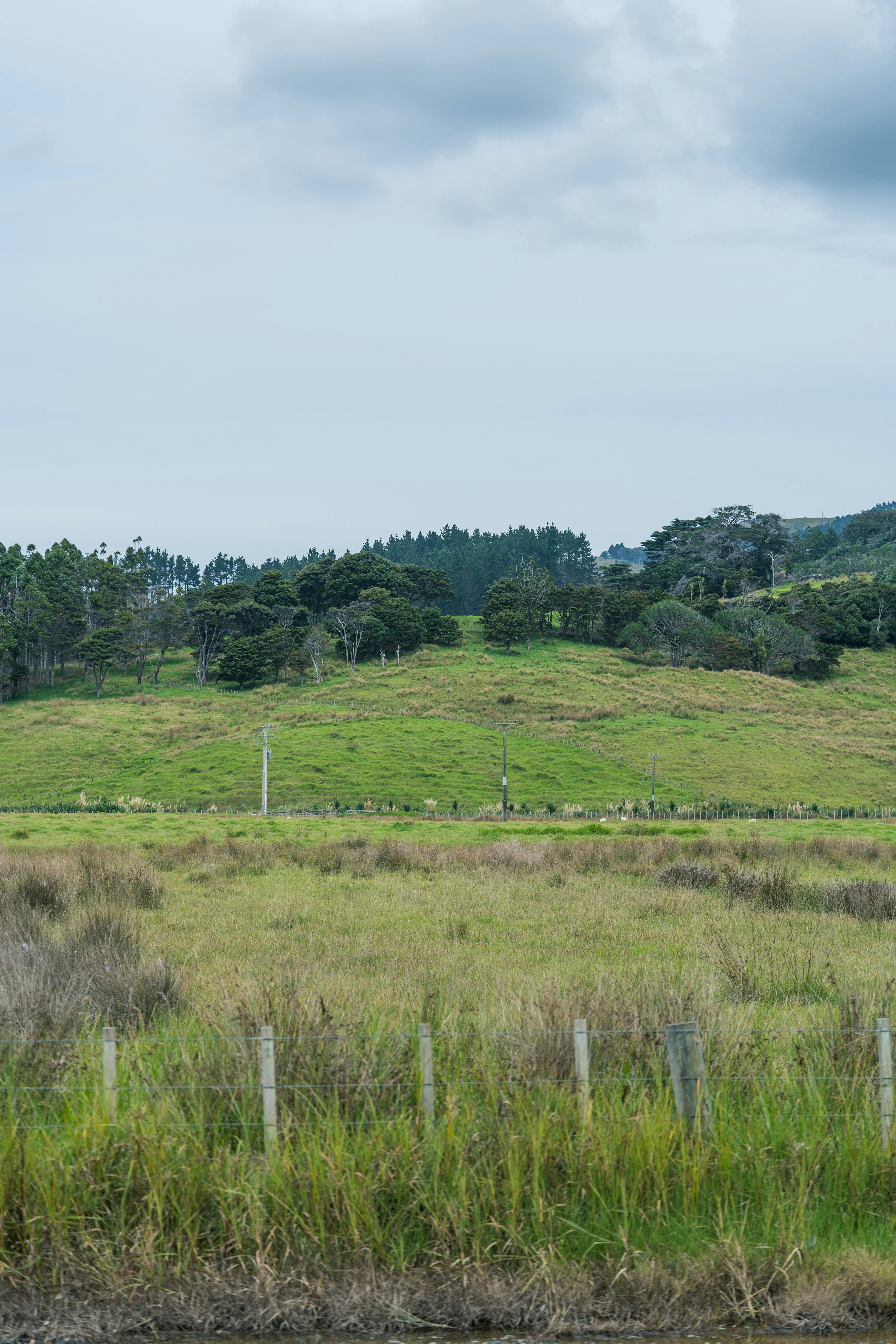 Photo by countingframez