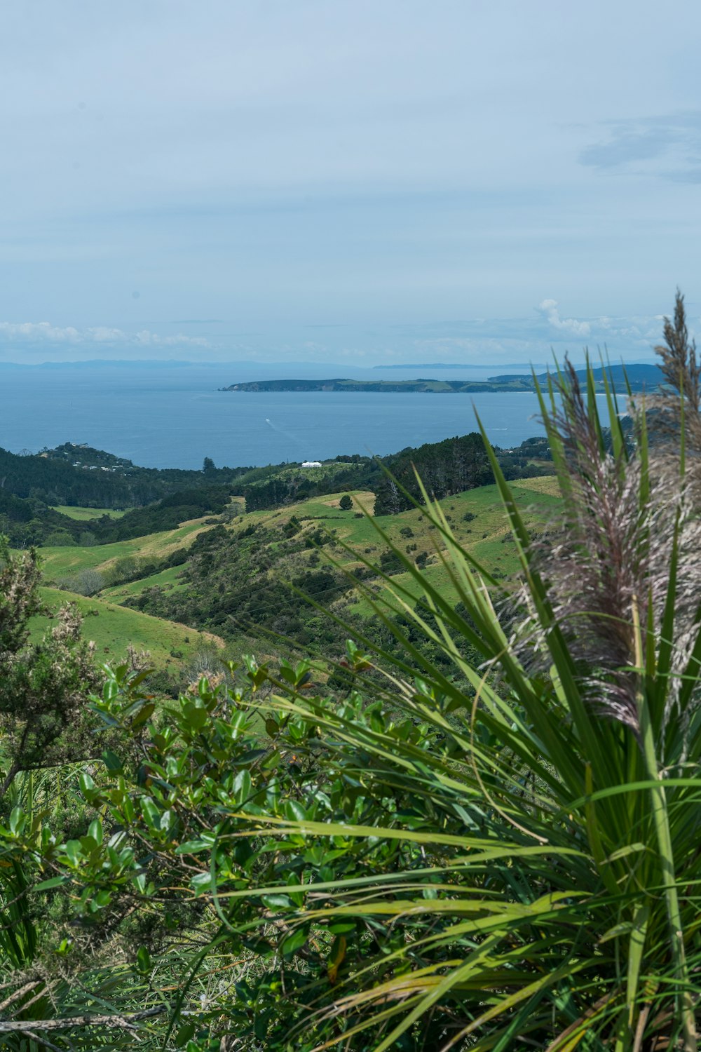 a lush green hillside with a view of the ocean