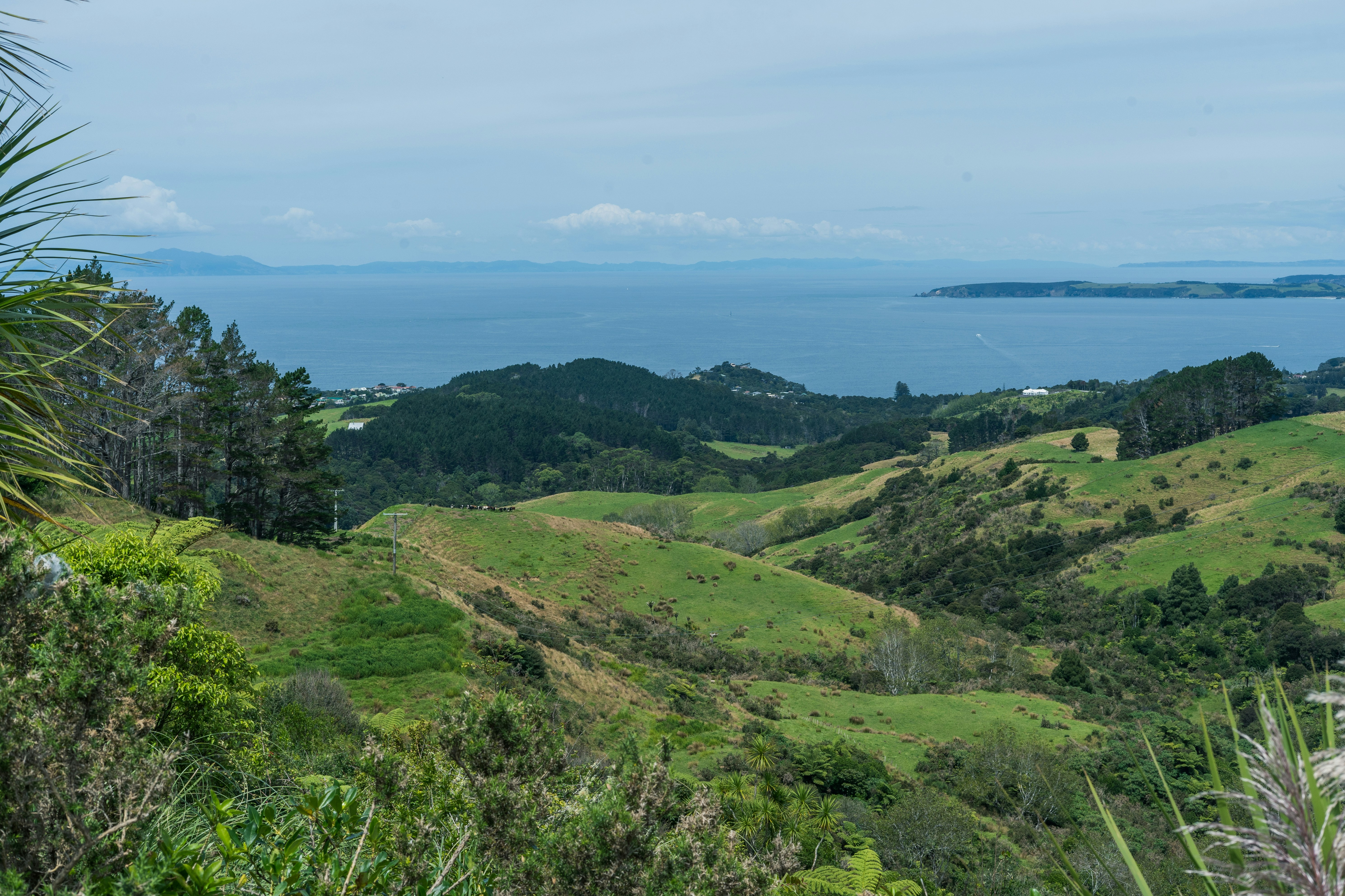 Photo by countingframez