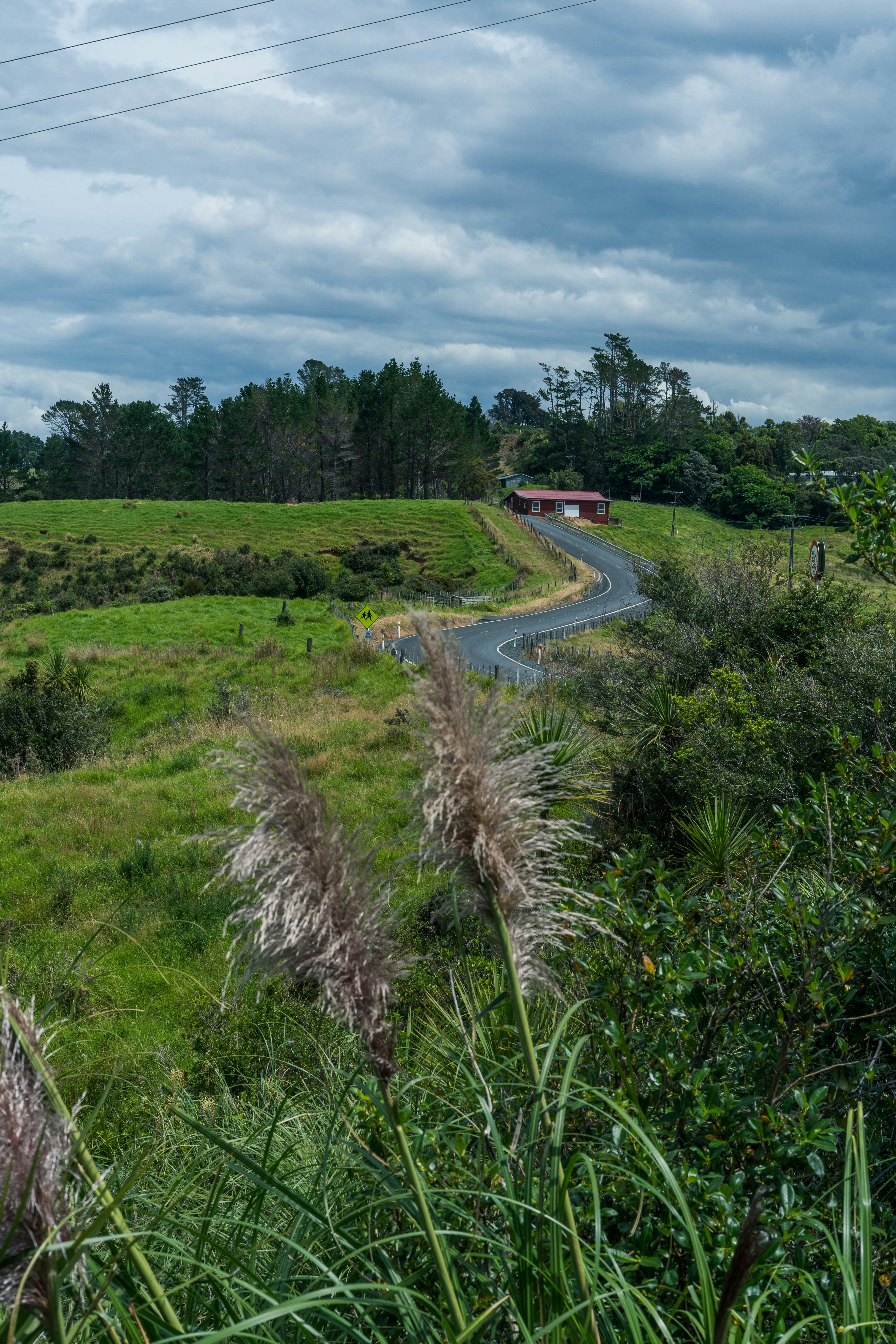 Auckland's Neighborhoods Worth Exploring Around the Cones