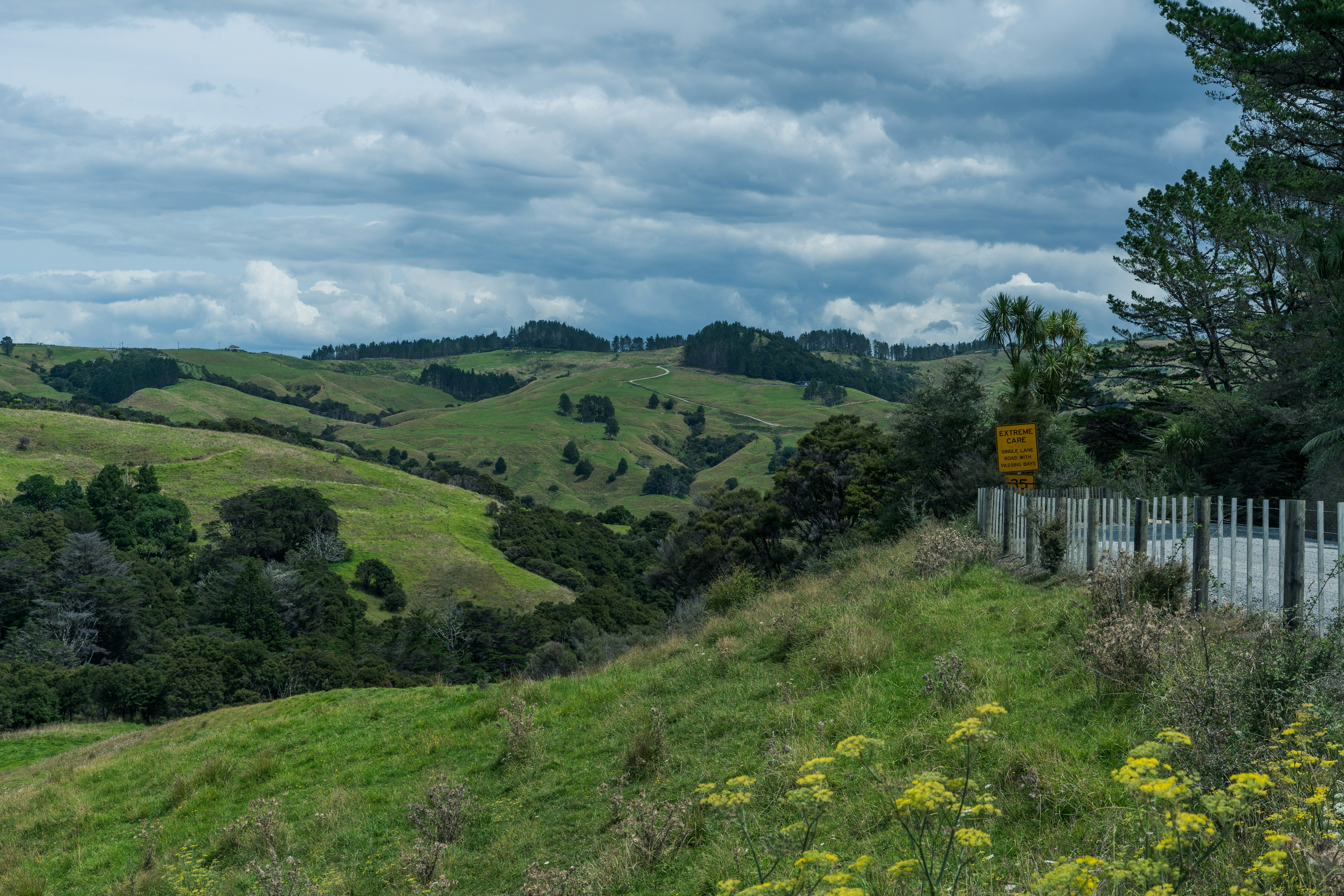 Photo by countingframez