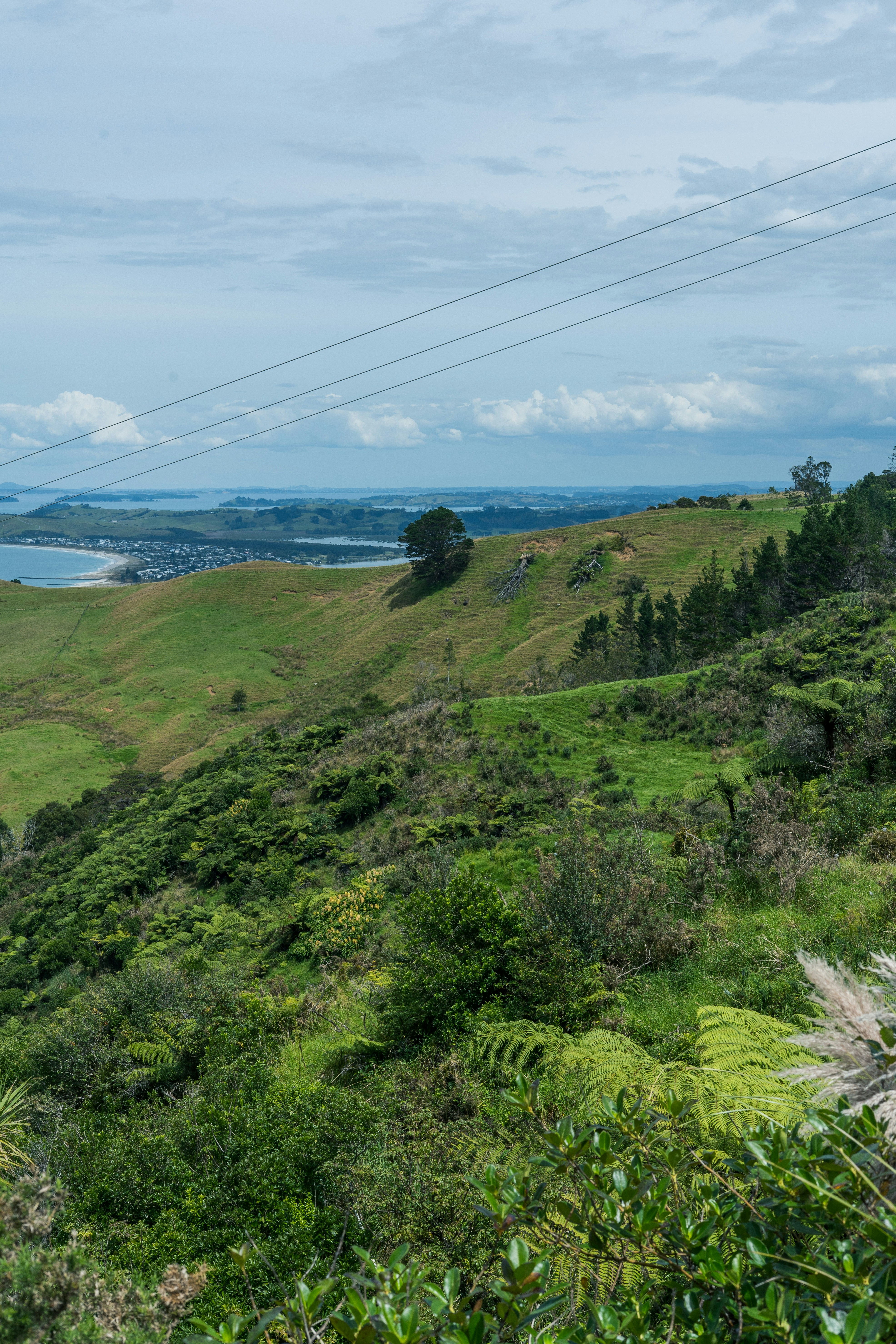 Photo by countingframez