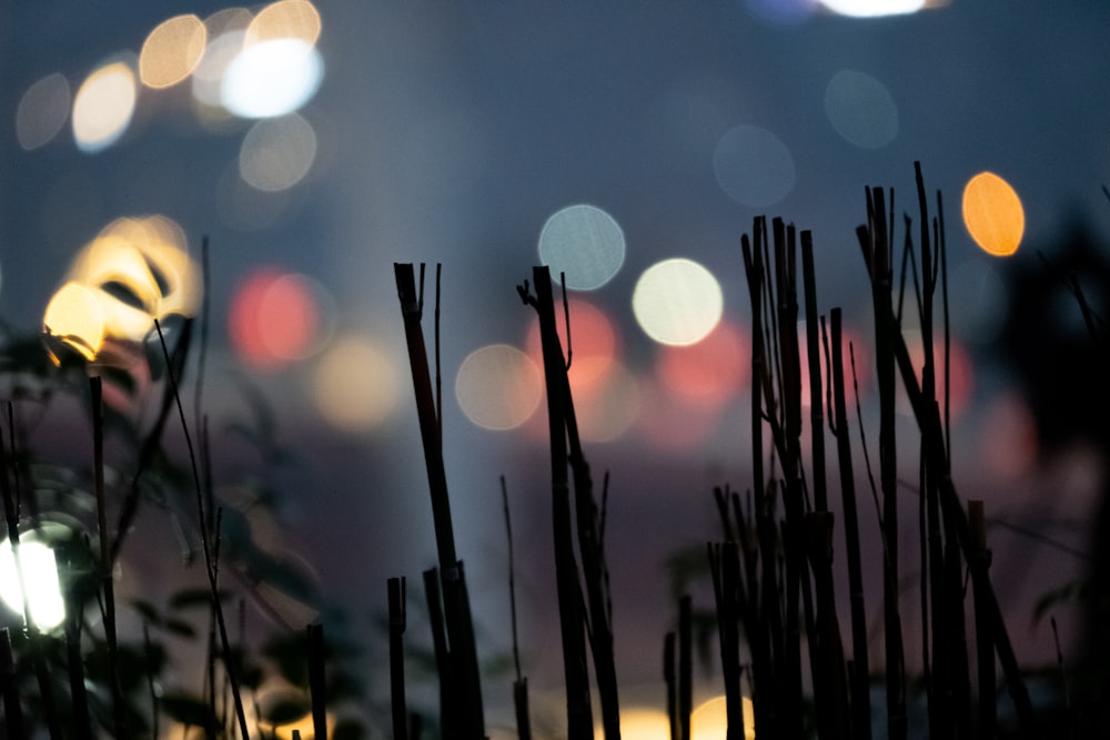 a blurry photo of a city at night