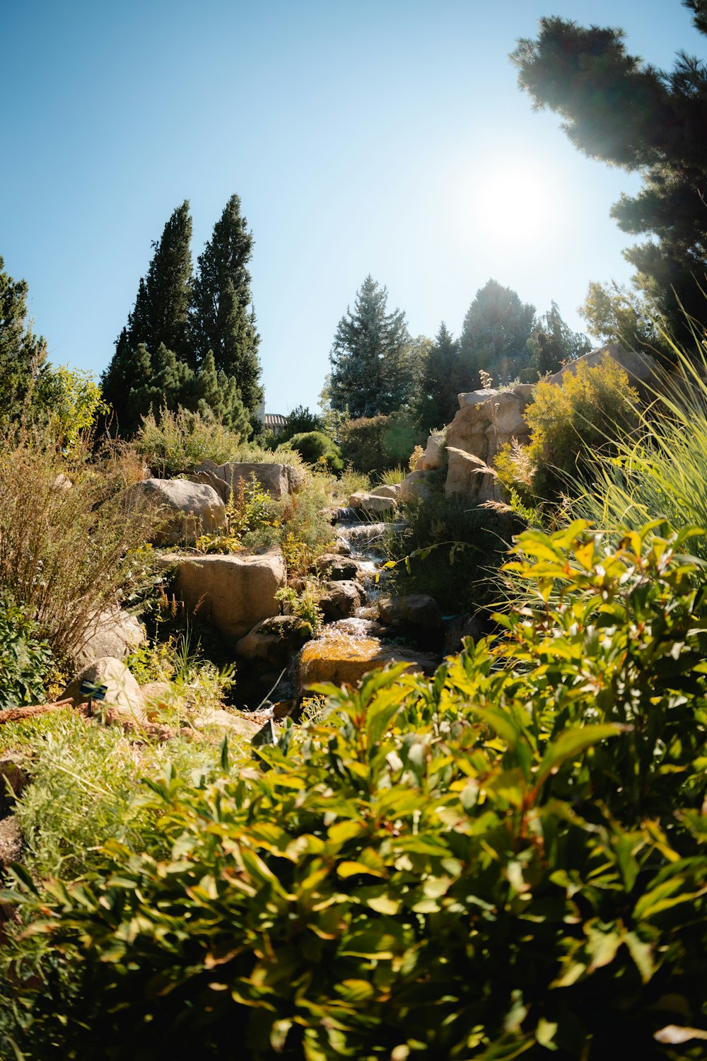 the sun shines brightly over a rocky stream