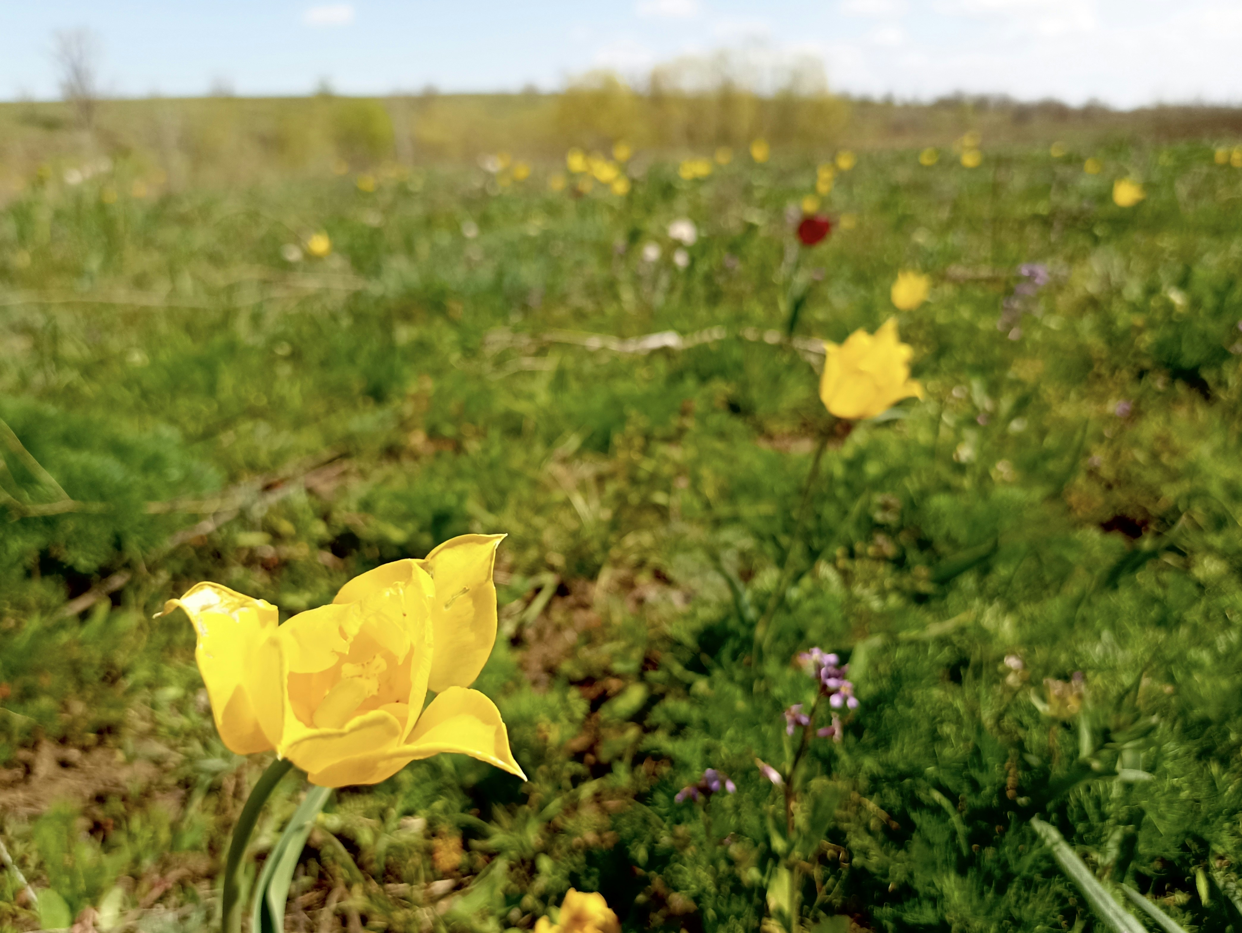 Photo by katrin_bloom