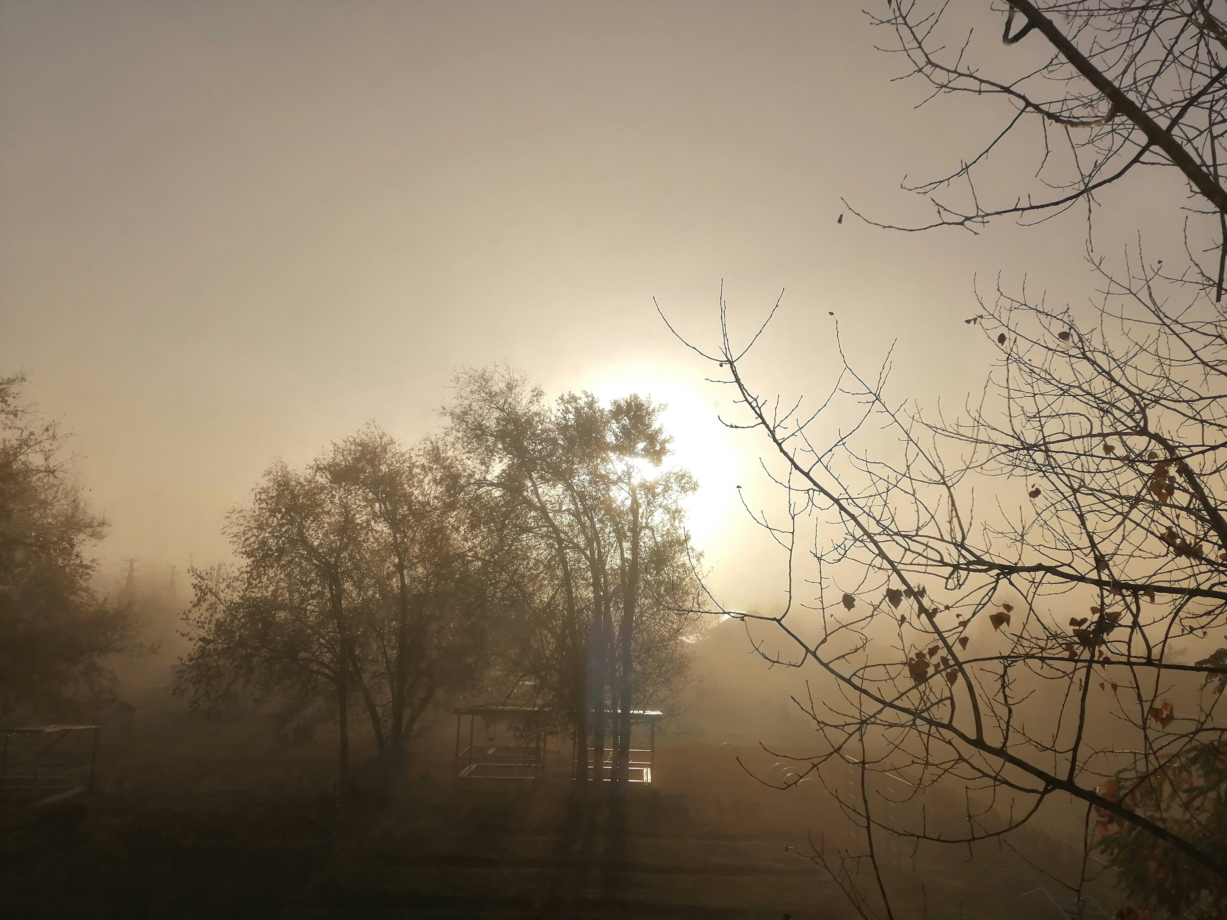 Photo by katrin_bloom