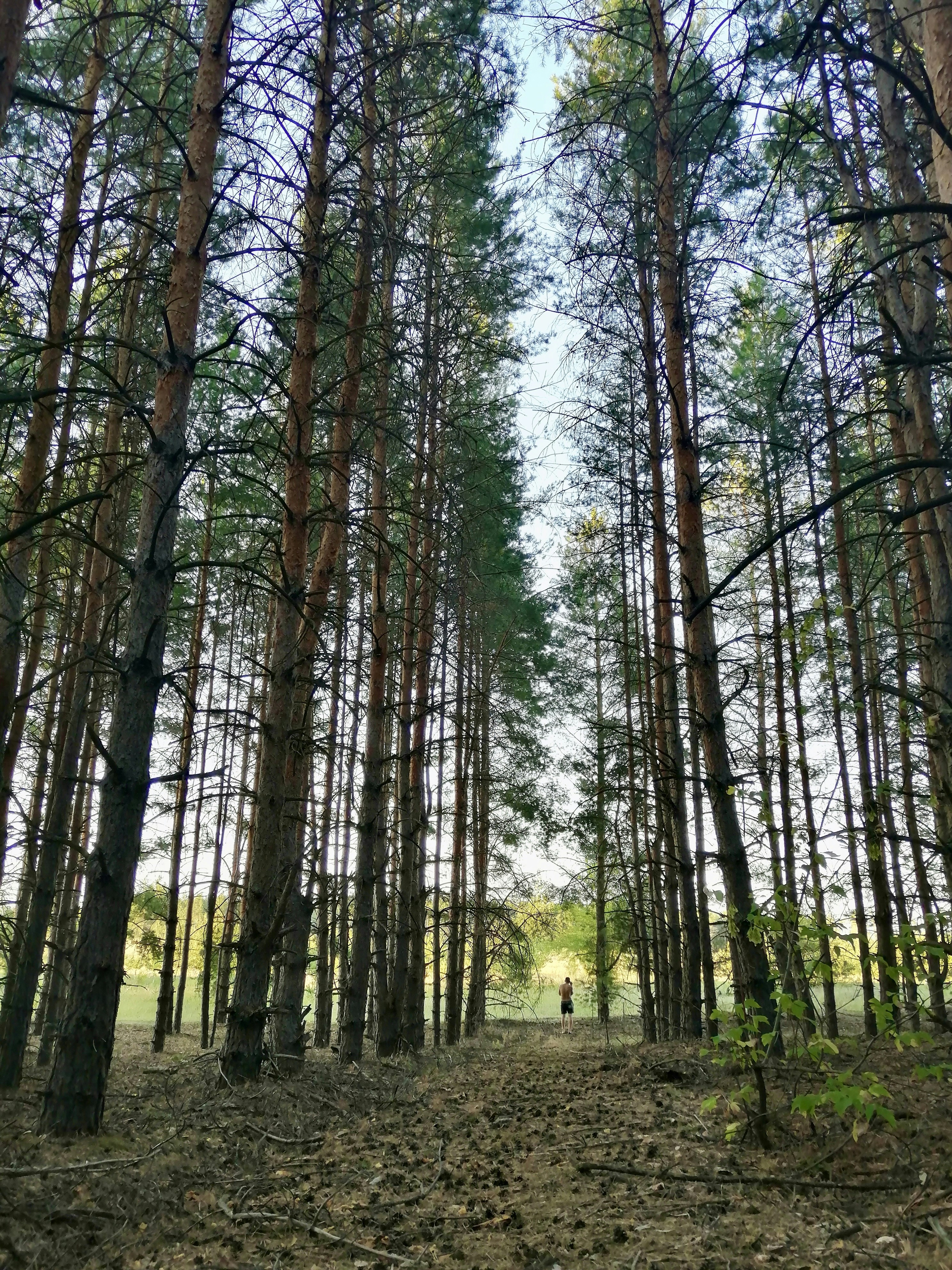 Photo by katrin_bloom