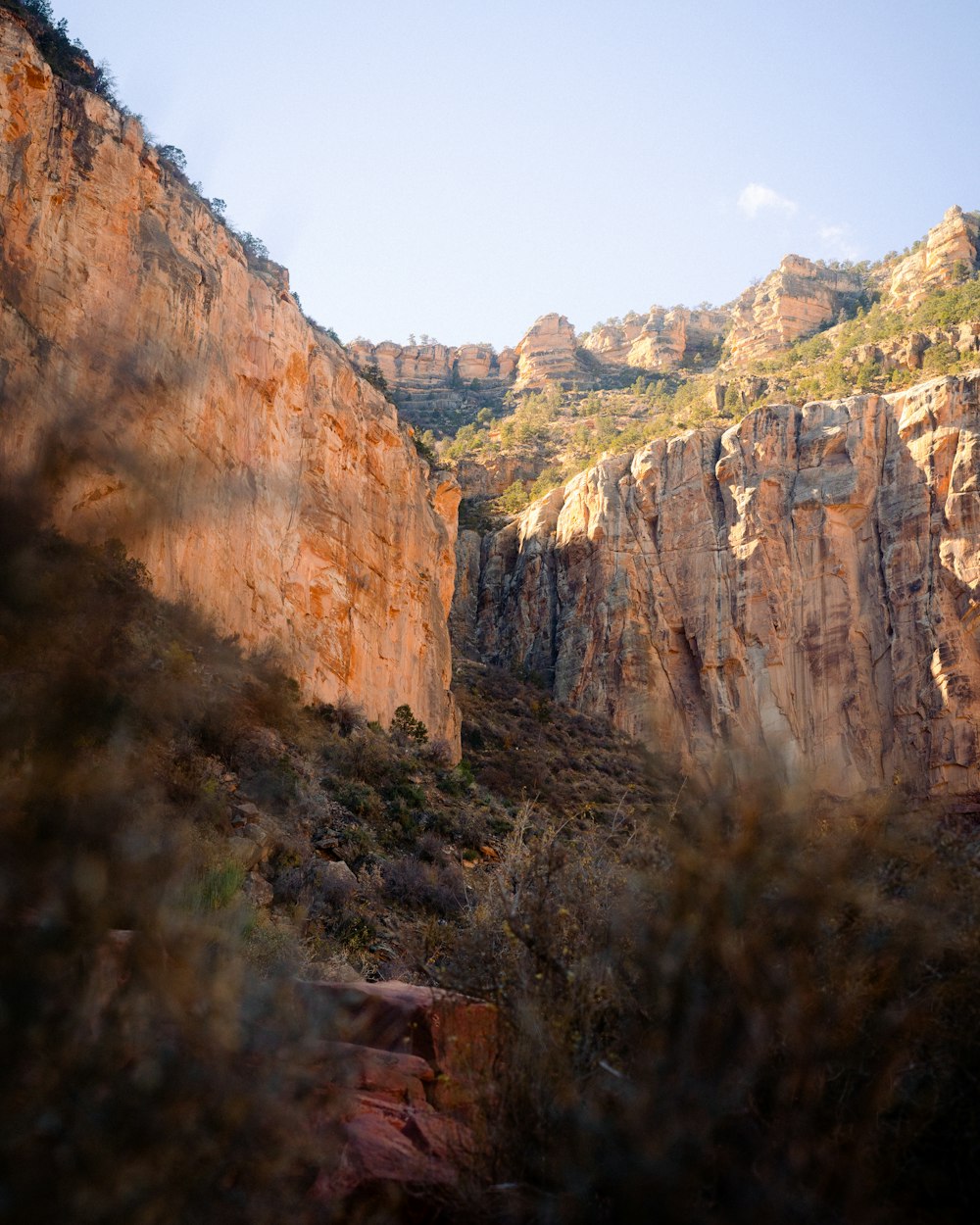 a view of a rocky mountain with trees on the side of it