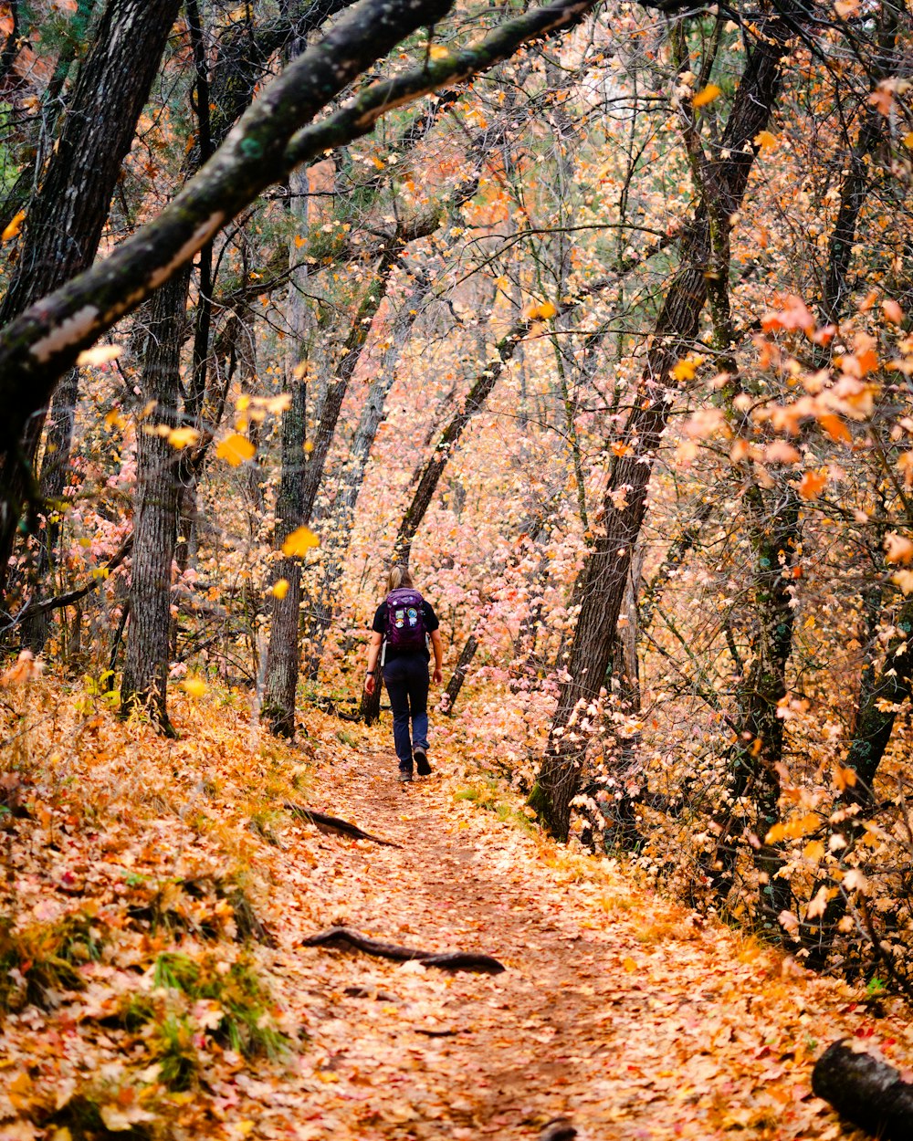 a person walking down a trail in the woods