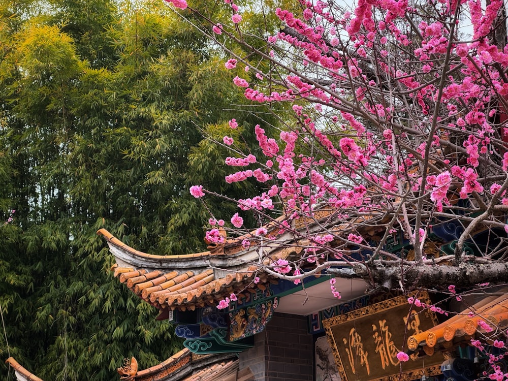 a tree with pink flowers in front of a building